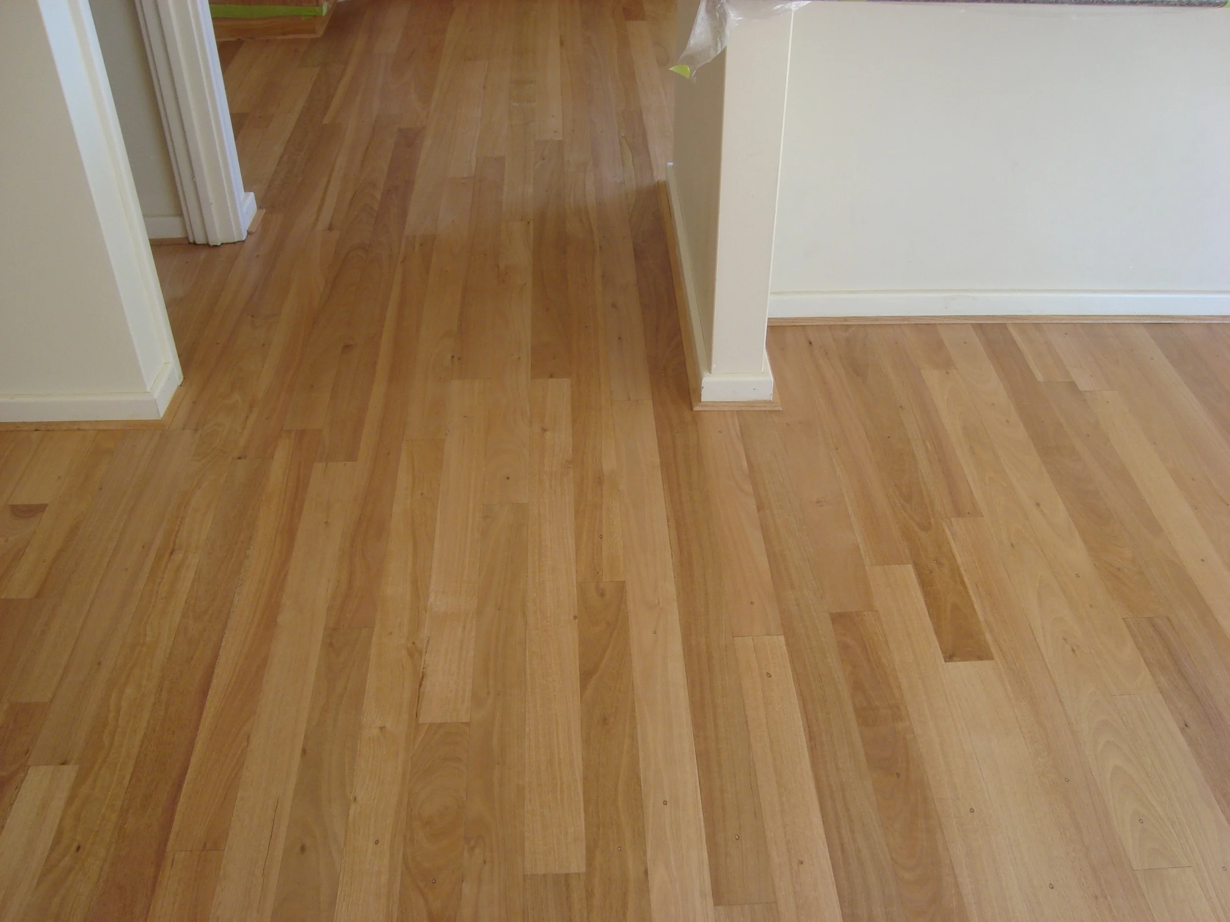 Eastern States Blackbutt.JPG