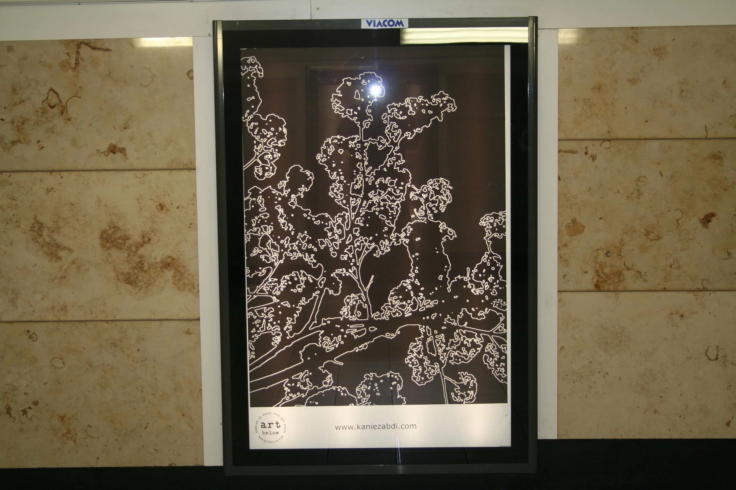 Natural Lines Artwork