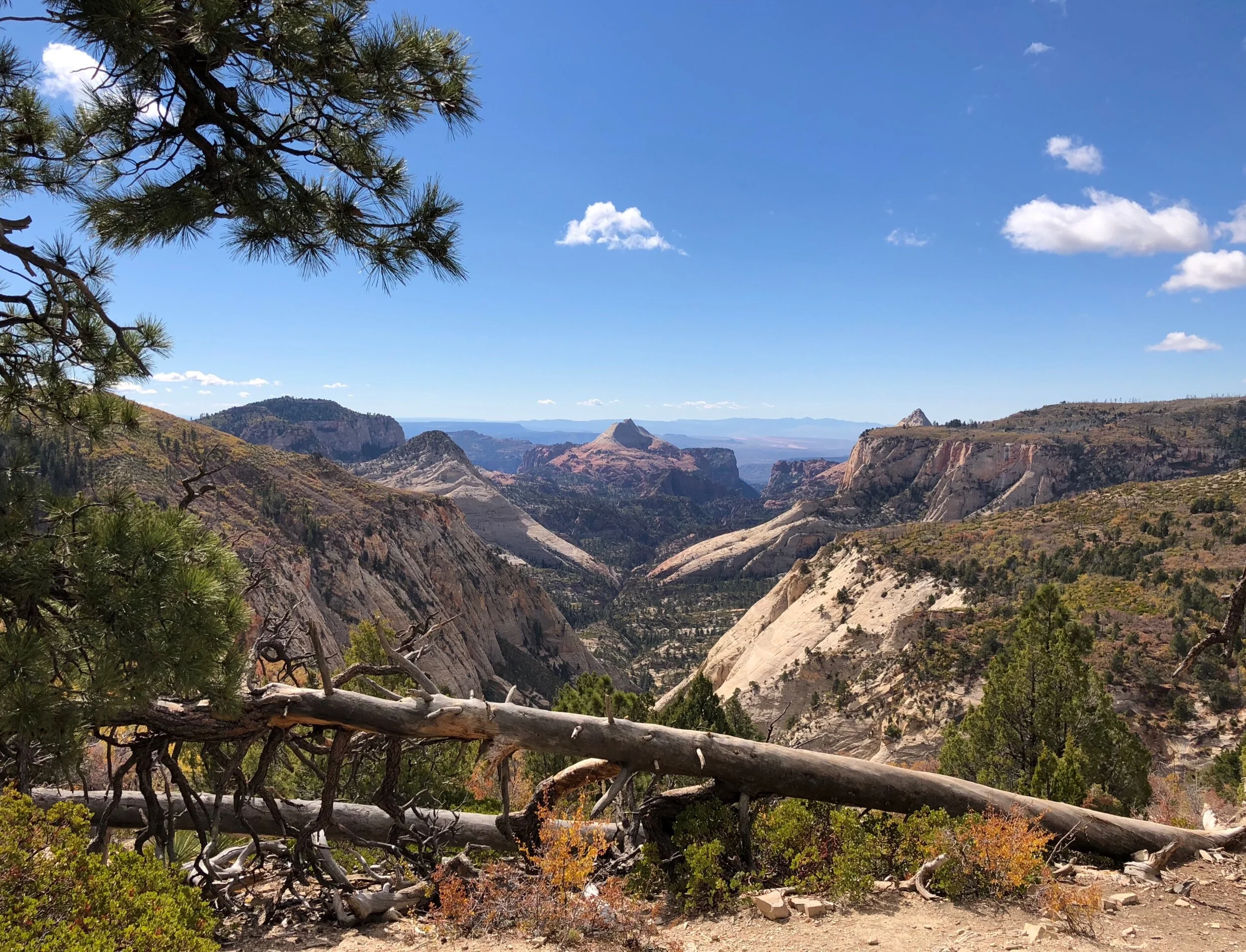 South Guardian Angel