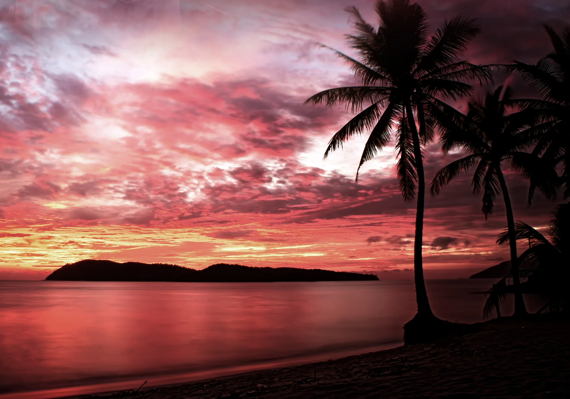 Missing - 29 Website background final.jpg