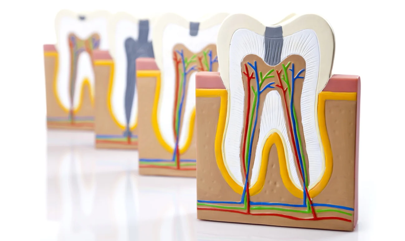 После удаления зуба