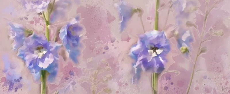 iris_2.jpg
