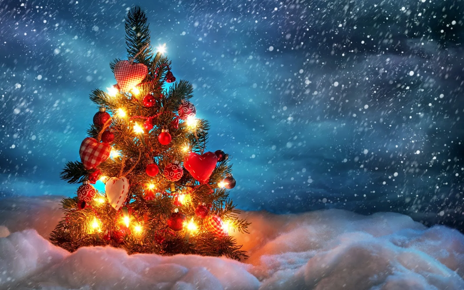 beautiful_christmas_tree-wide.jpg