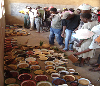 Figure 2 & 3: Seed fair and seed banking at community level in Mtoko District, Zimbabwe