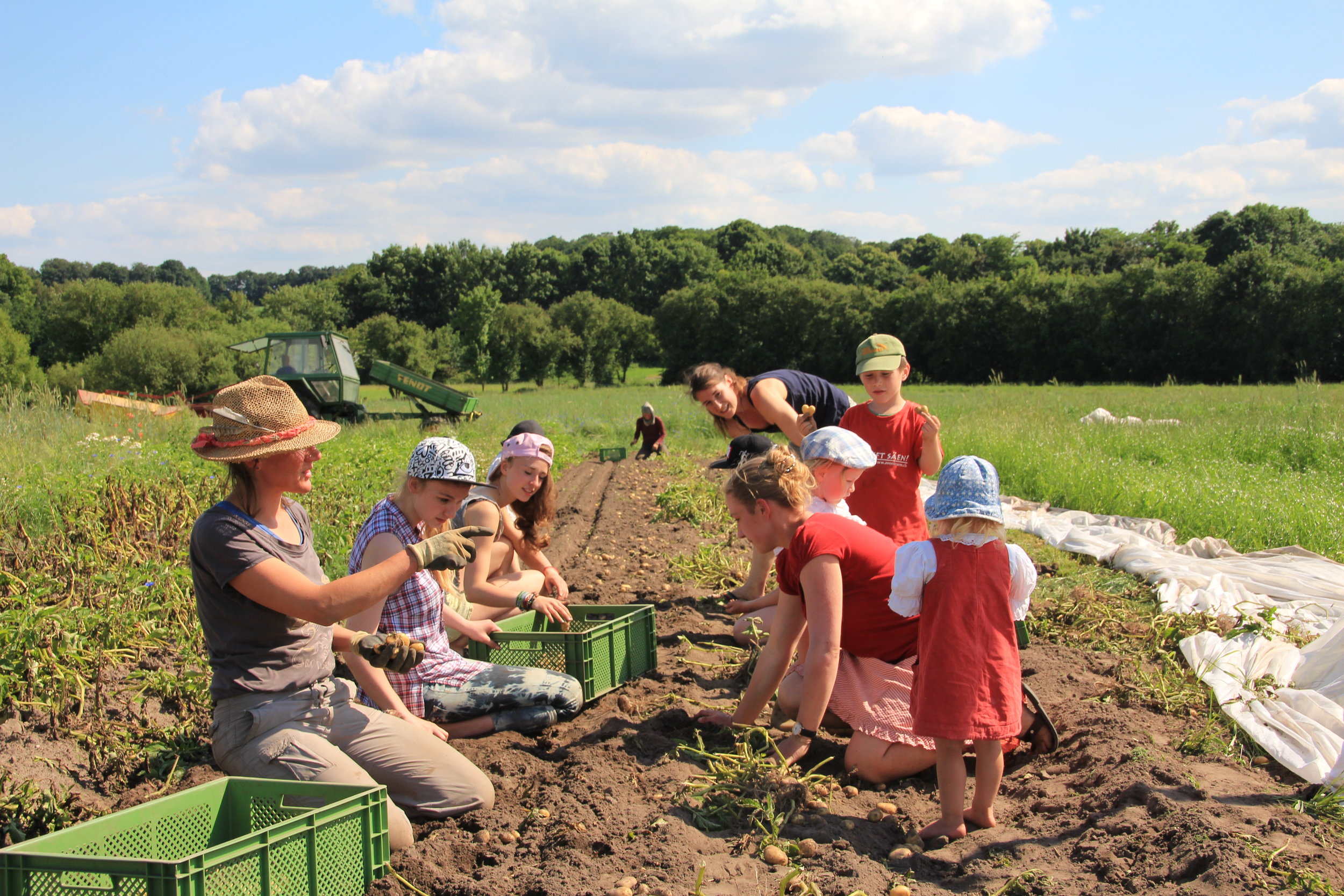 Community Supported Agriculture Hof Pente Nudge Sustaility Hub Hof Pente Nudge Sustaility