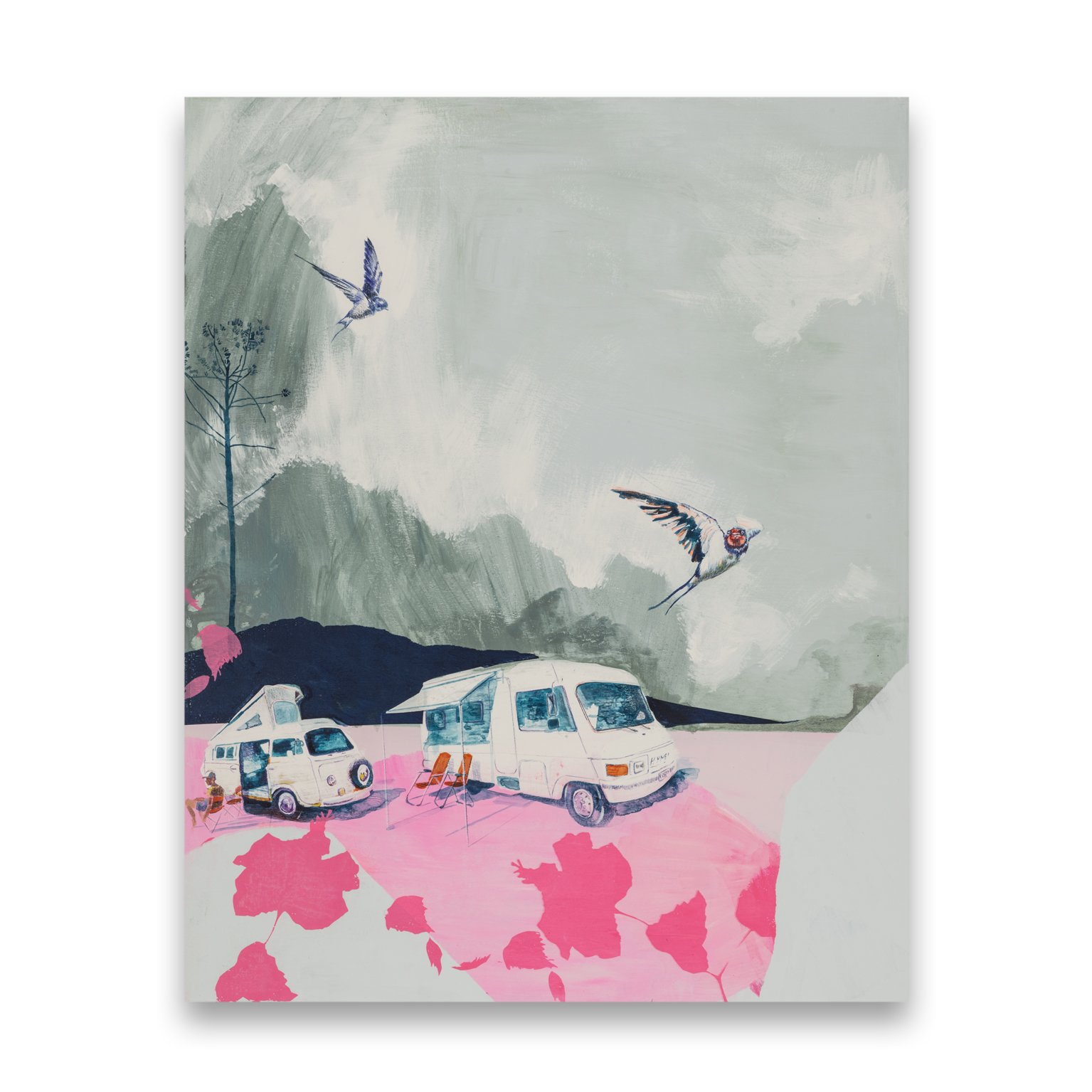 Swallows and Campervans