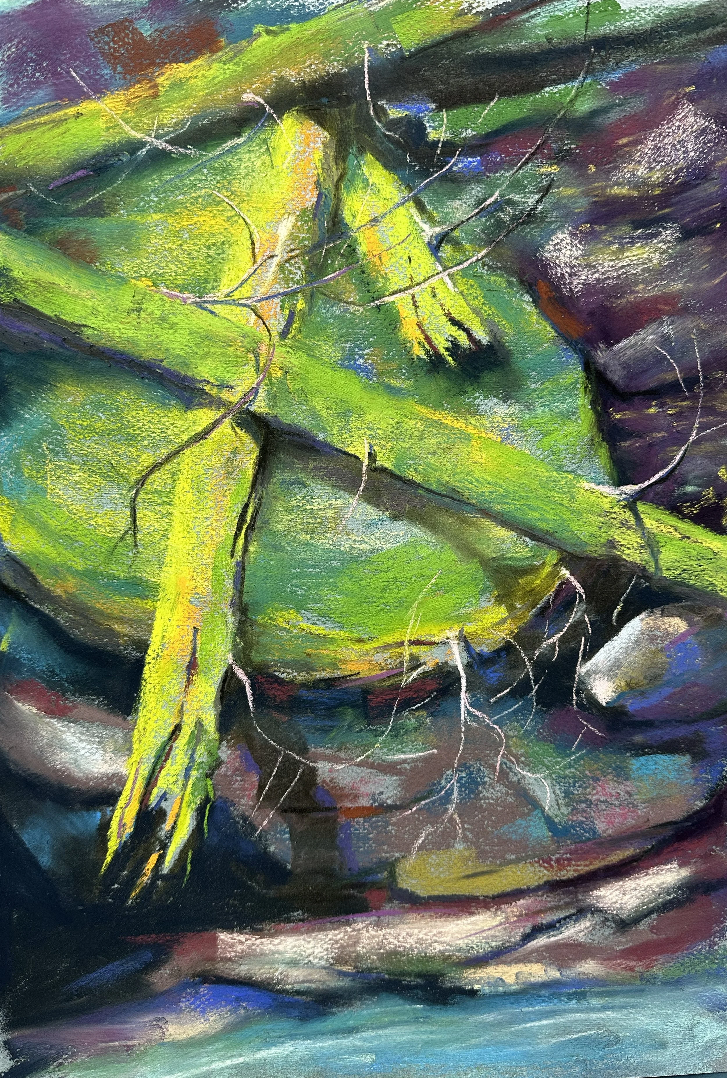 Mossy Logs, Spring in Alberta 12x16.jpg