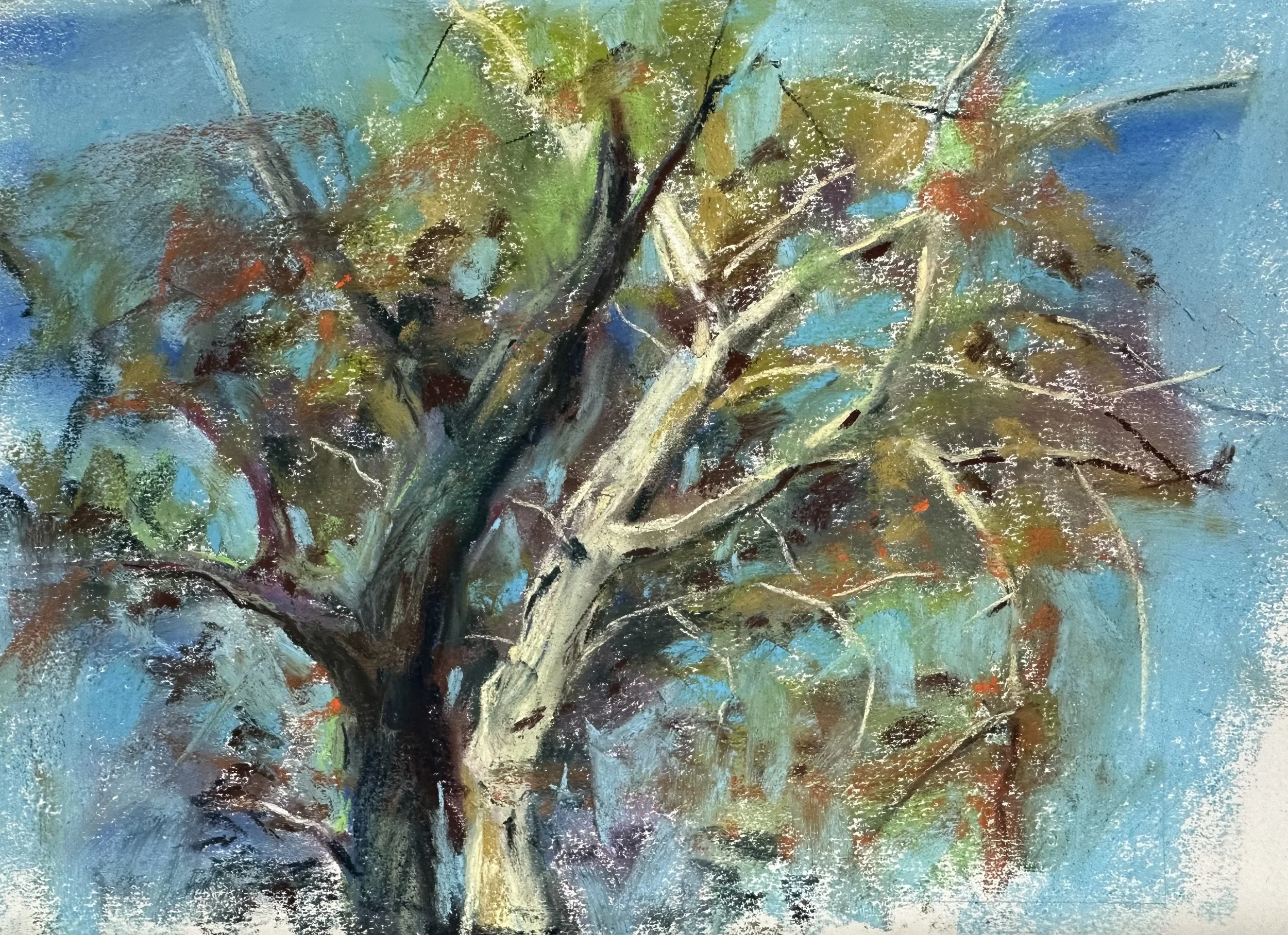 Light Versus Dark Pastel on Paper 220 Dollars