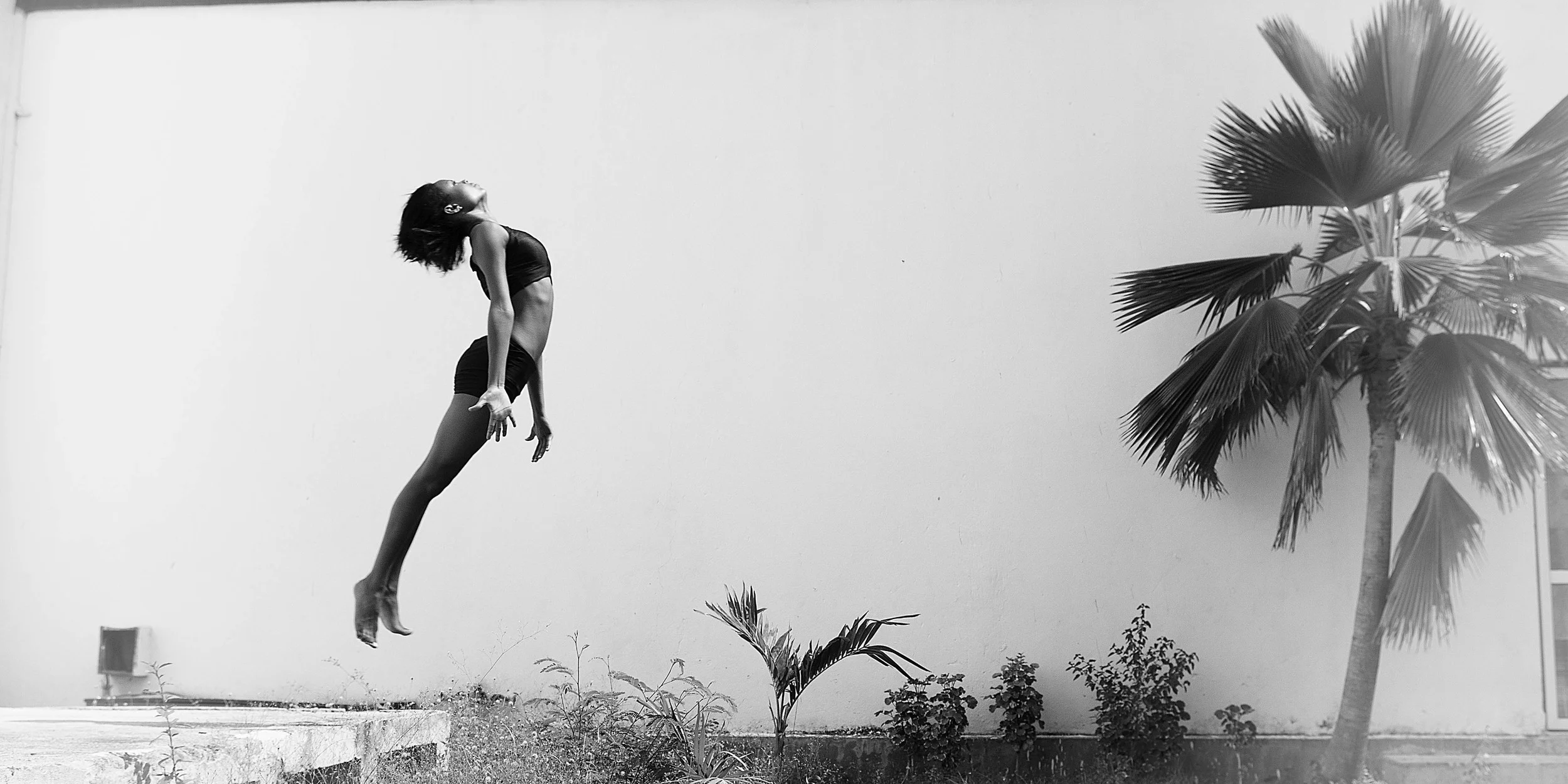 PA221905.jpg