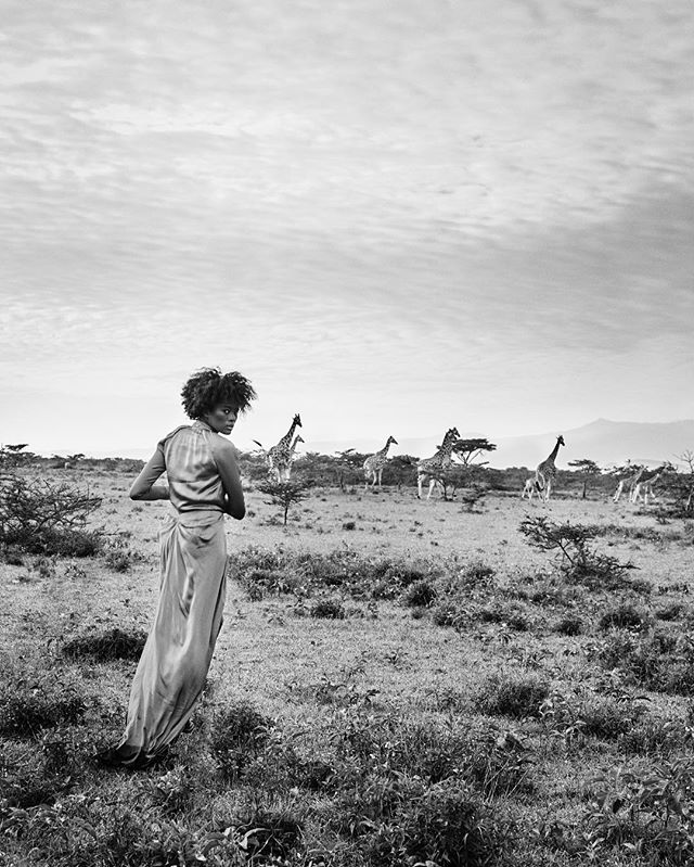 African beauty ! Shot by Eric for @janmagazinenl @lindagumusgerritsen @judithneyens