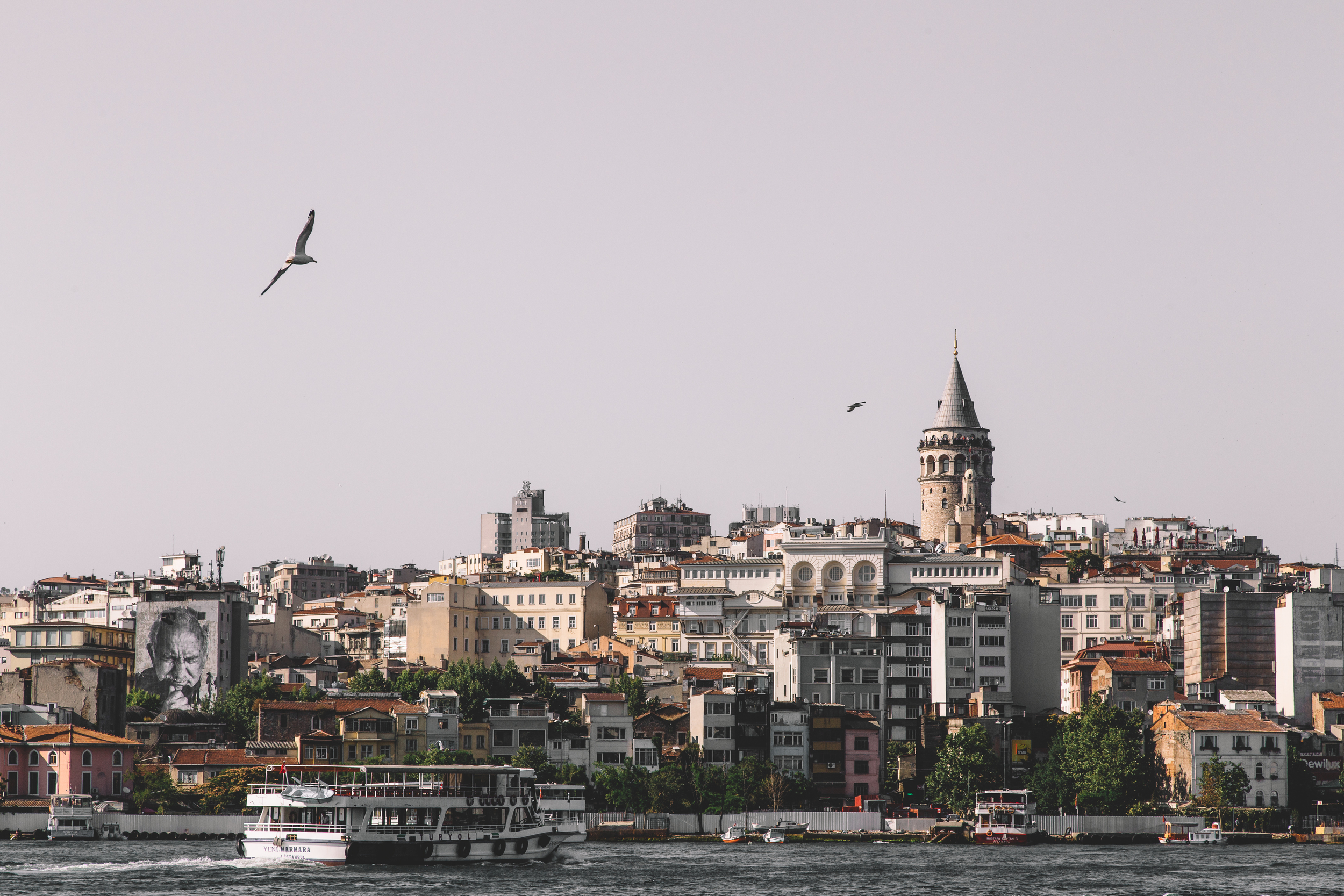 _MG_1330-2.jpg