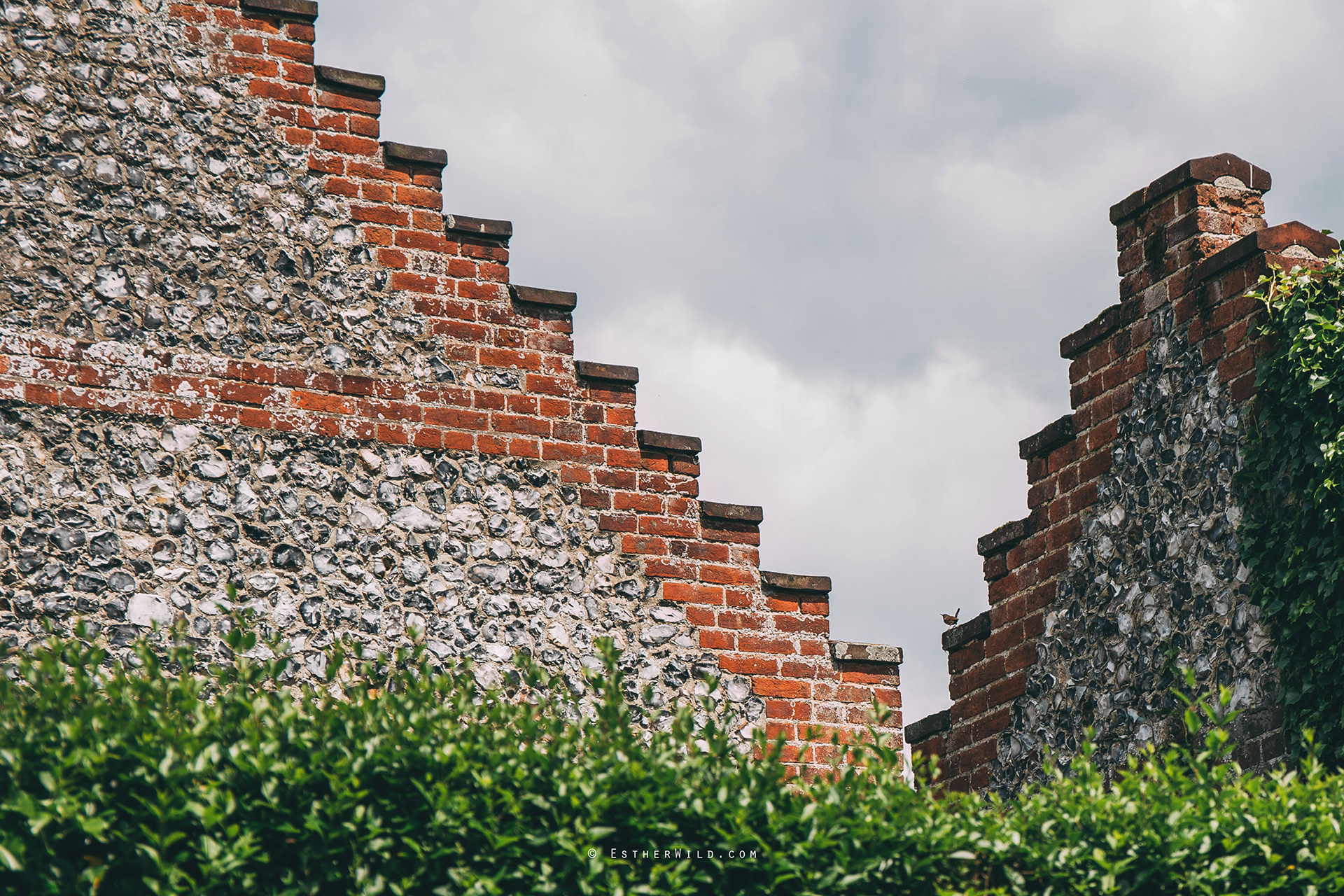 Norfolk_Wedding_Photographer_Mannington_Hall_Country_Esther_Wild_0550.jpg