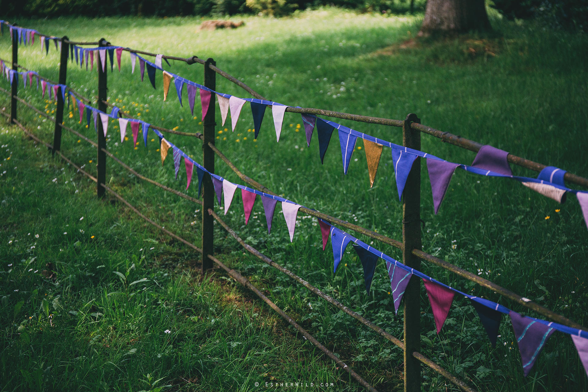 Norfolk_Wedding_Photographer_Mannington_Hall_Country_Esther_Wild_0927.jpg