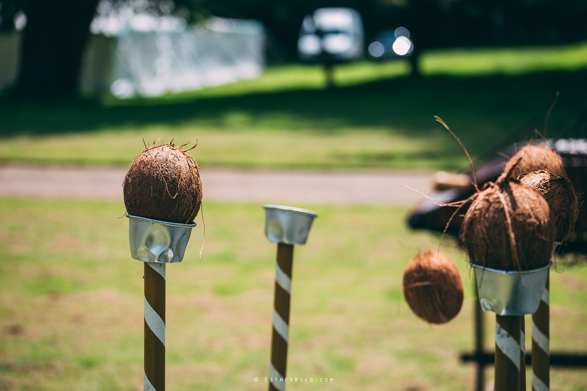 Norfolk_Wedding_Photographer_Mannington_Hall_Country_Esther_Wild_0745.jpg