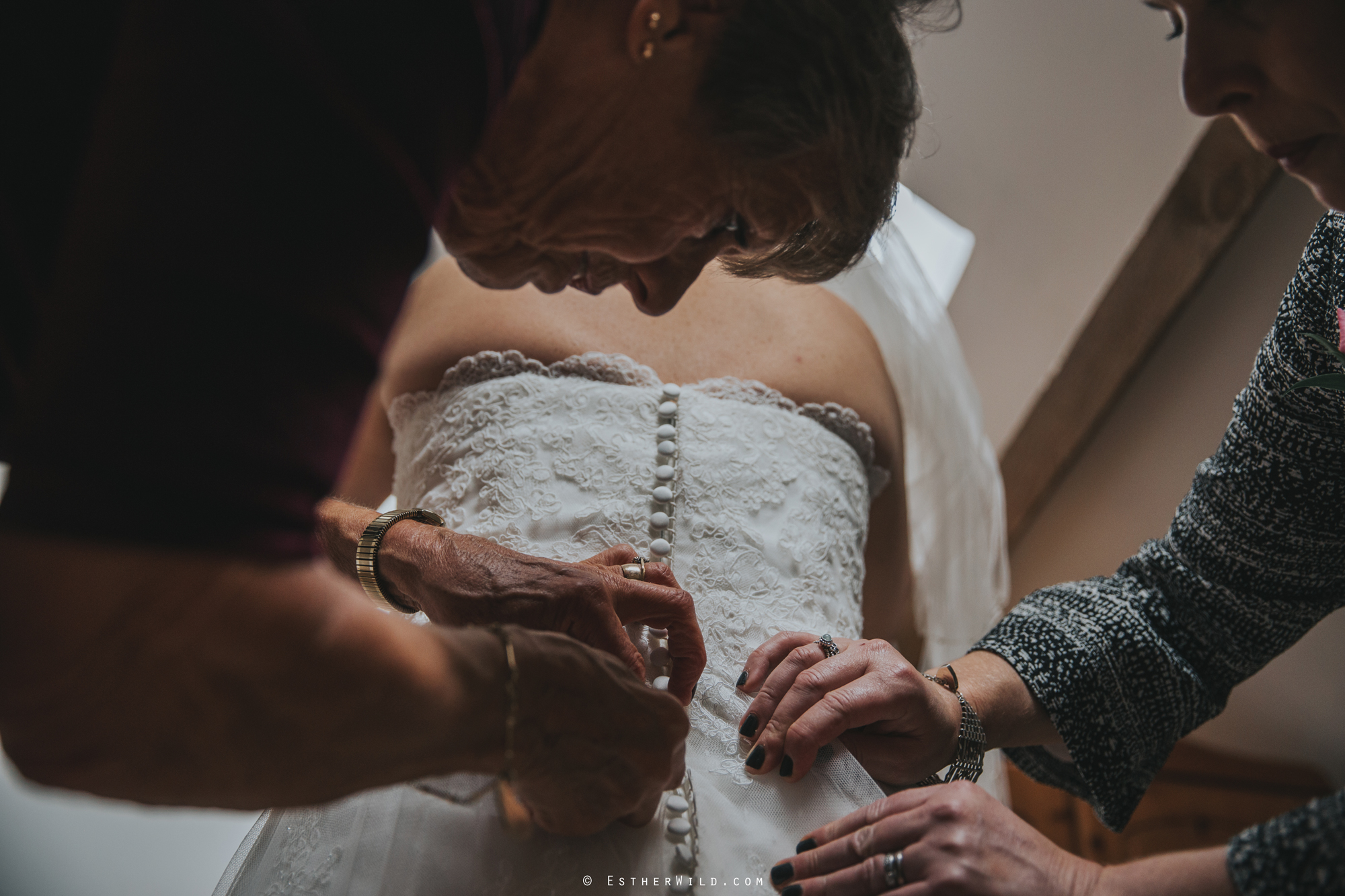 Reading_Room_Weddings_Alby_Norwich_Photographer_Esther_Wild_IMG_0481.jpg