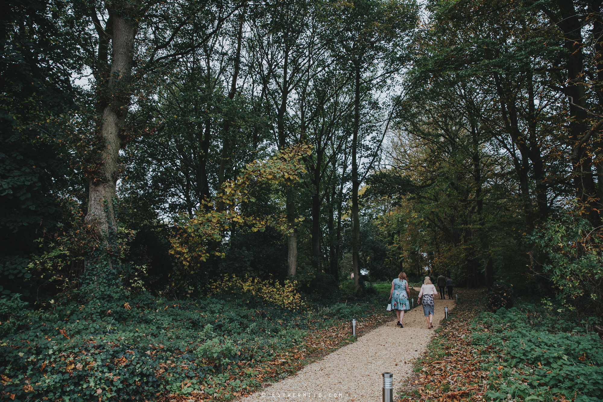 Reading_Room_Weddings_Alby_Norwich_Photographer_Esther_Wild_IMG_0646.jpg