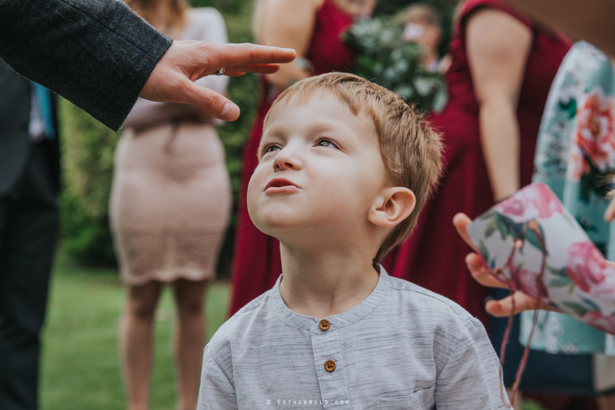 Reading_Room_Weddings_Alby_Norwich_Photographer_Esther_Wild_IMG_1198.jpg