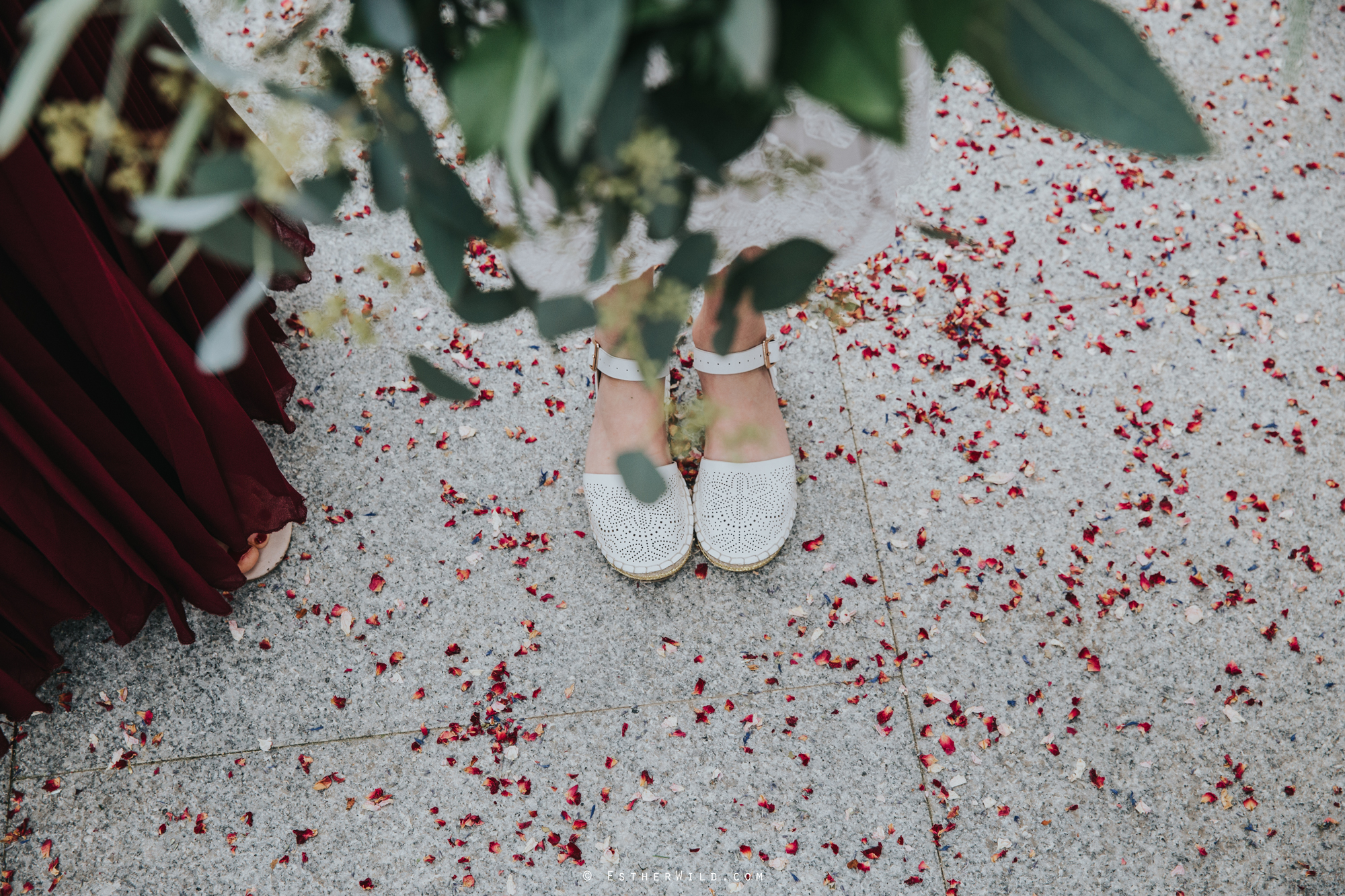 Reading_Room_Weddings_Alby_Norwich_Photographer_Esther_Wild_IMG_1264.jpg