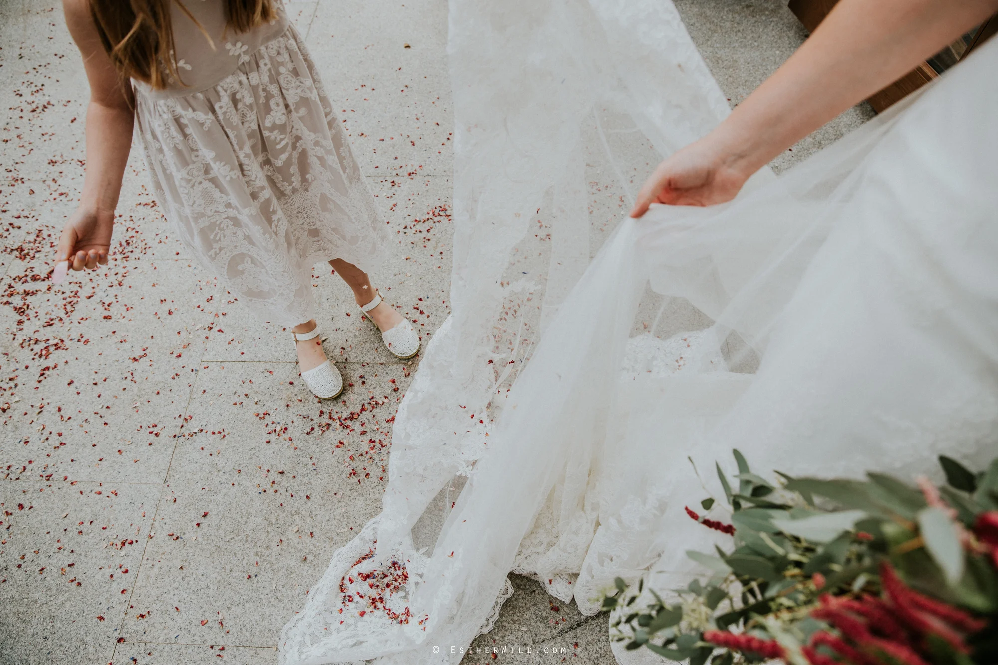Reading_Room_Weddings_Alby_Norwich_Photographer_Esther_Wild_IMG_1323.jpg