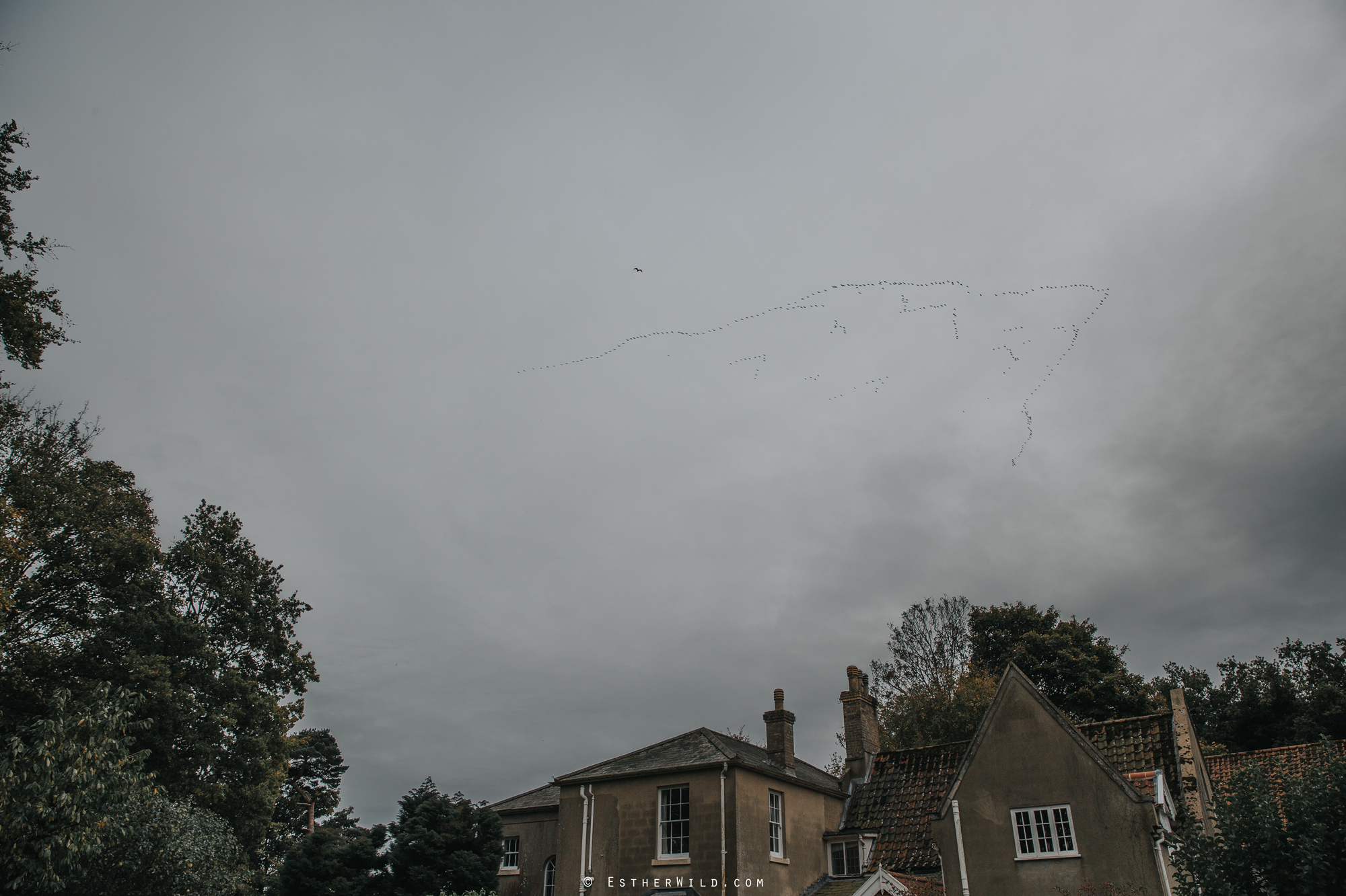 Reading_Room_Weddings_Alby_Norwich_Photographer_Esther_Wild_IMG_1758.jpg