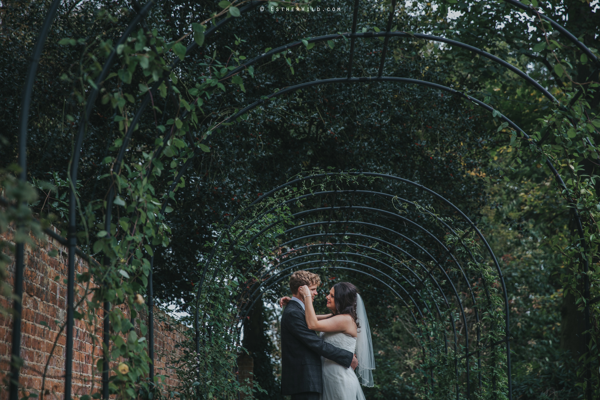 Reading_Room_Weddings_Alby_Norwich_Photographer_Esther_Wild_IMG_1775.jpg