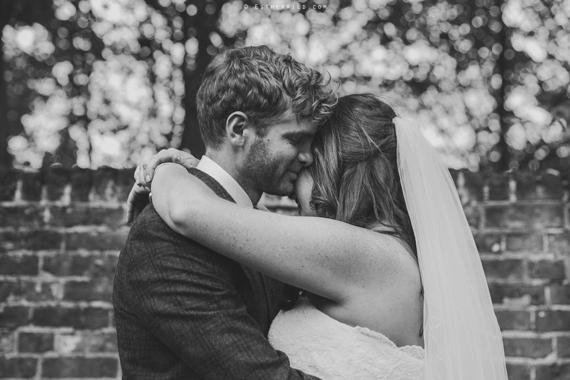 Reading_Room_Weddings_Alby_Norwich_Photographer_Esther_Wild_IMG_1817-1.jpg