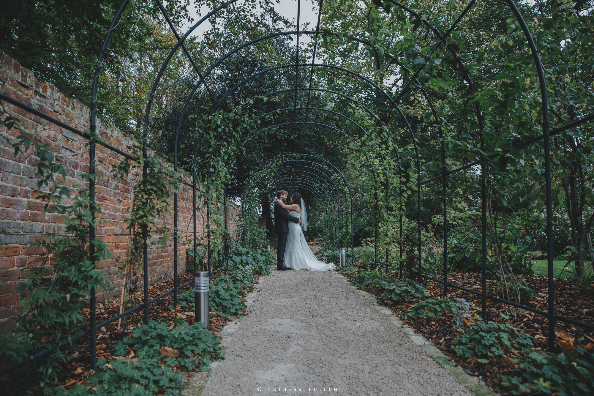 Reading_Room_Weddings_Alby_Norwich_Photographer_Esther_Wild_IMG_1770.jpg