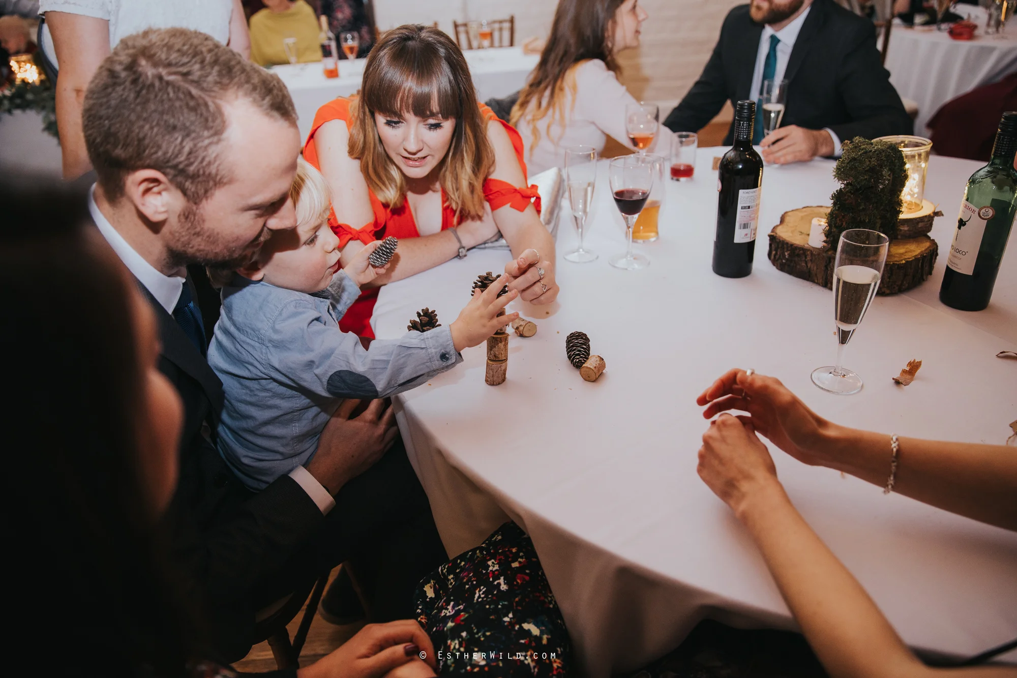 Reading_Room_Weddings_Alby_Norwich_Photographer_Esther_Wild_IMG_2598.jpg