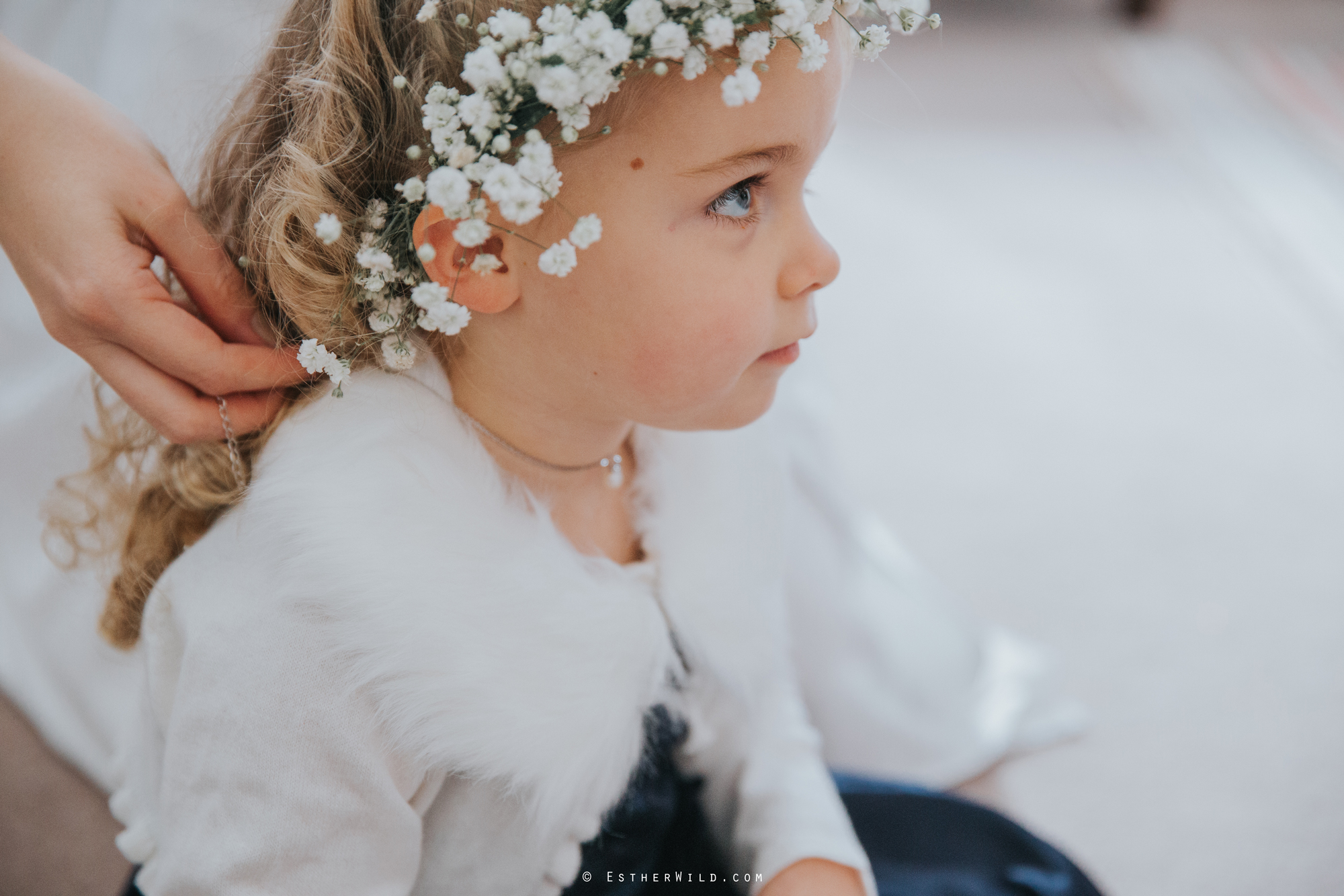 Kings_Lynn_Town_Hall_Wedding_Marry_In_Norfolk_Wedding_Esther_Wild_Photographer_IMG_4601.jpg