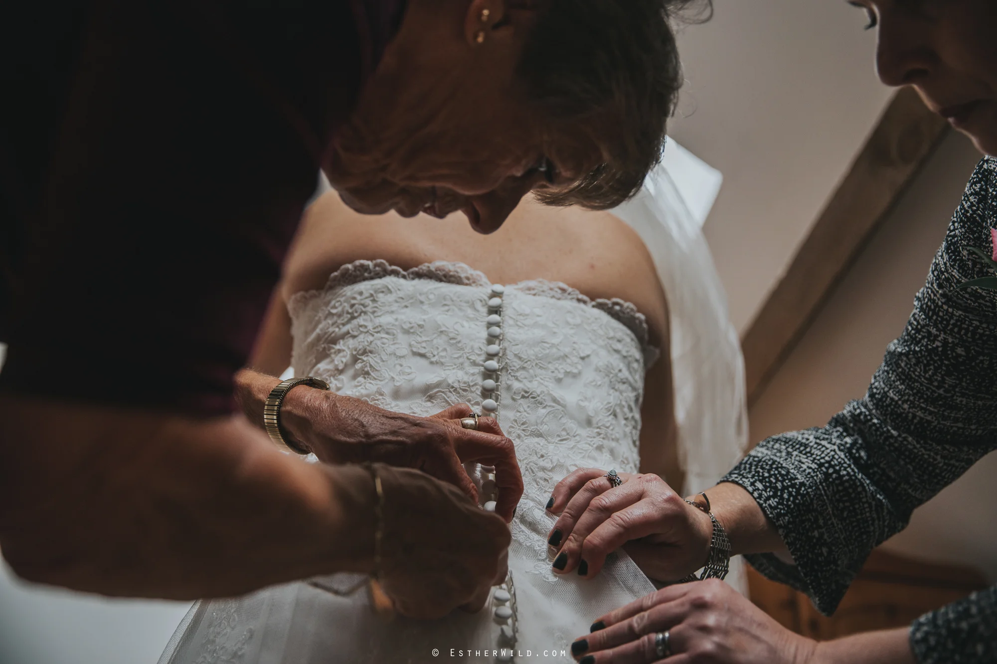 1017_Reading_Room_Weddings_Alby_Norwich_Photographer_Esther_Wild_IMG_0481.jpg