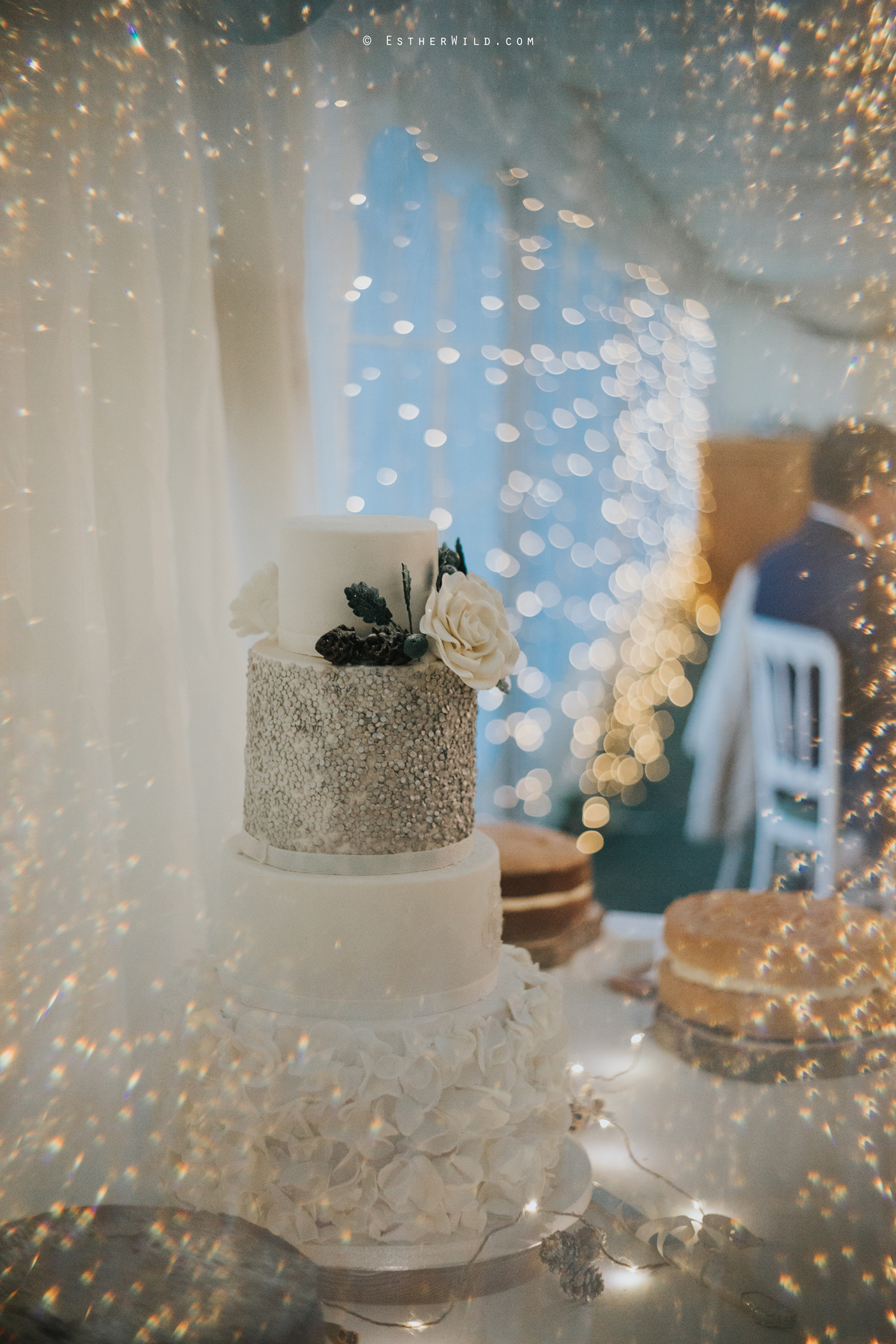 Wedding_Photography_Diss_Gawdy_Hall_Redenhall_Church_Norfolk_Winter_Esther_Wild_Copyright_IMG_2021_IMGL1156.jpg