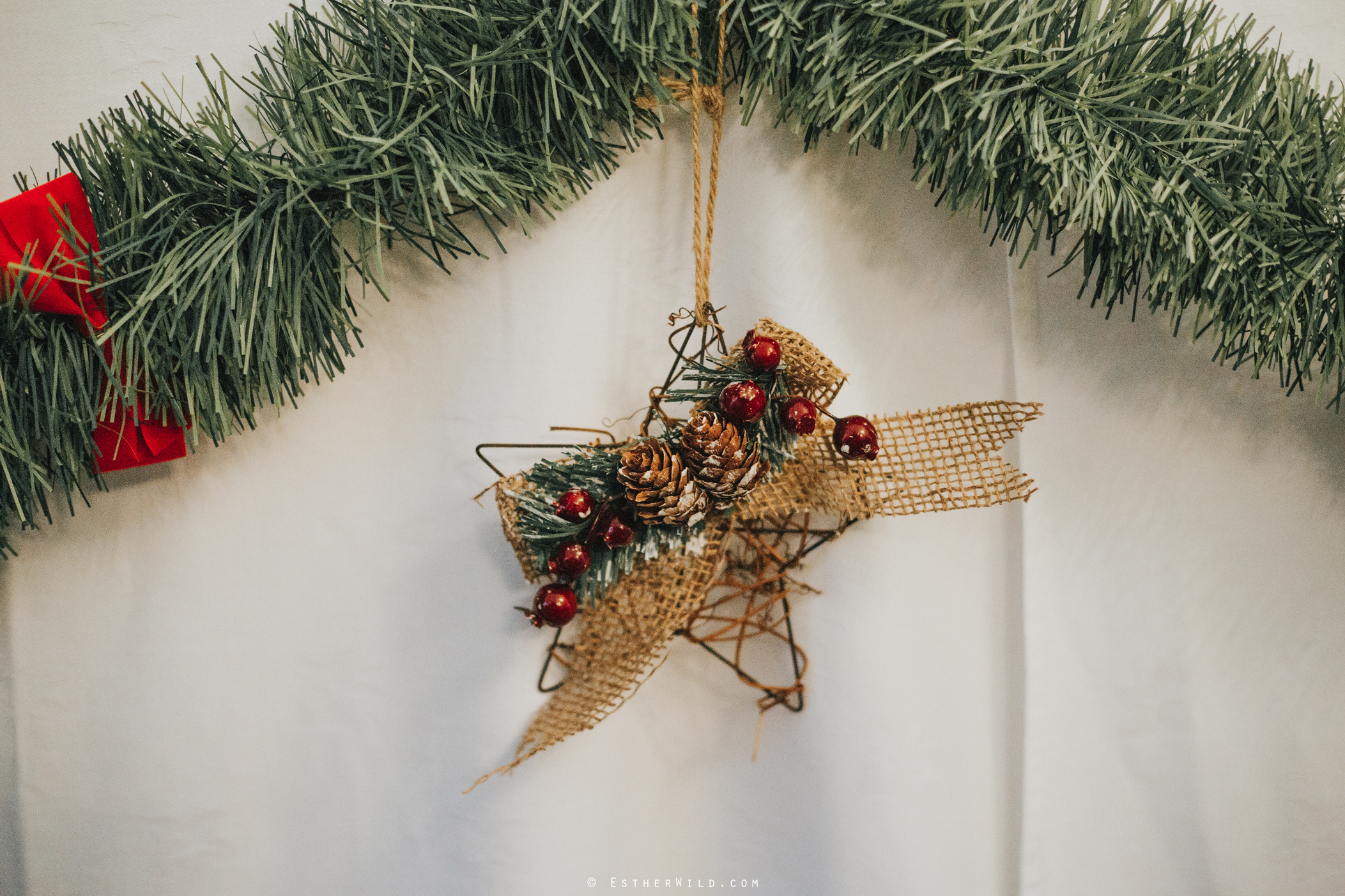 Wedding_Photography_Diss_Gawdy_Hall_Redenhall_Church_Norfolk_Winter_Esther_Wild_Copyright_IMG_2021_IMGL1221.jpg