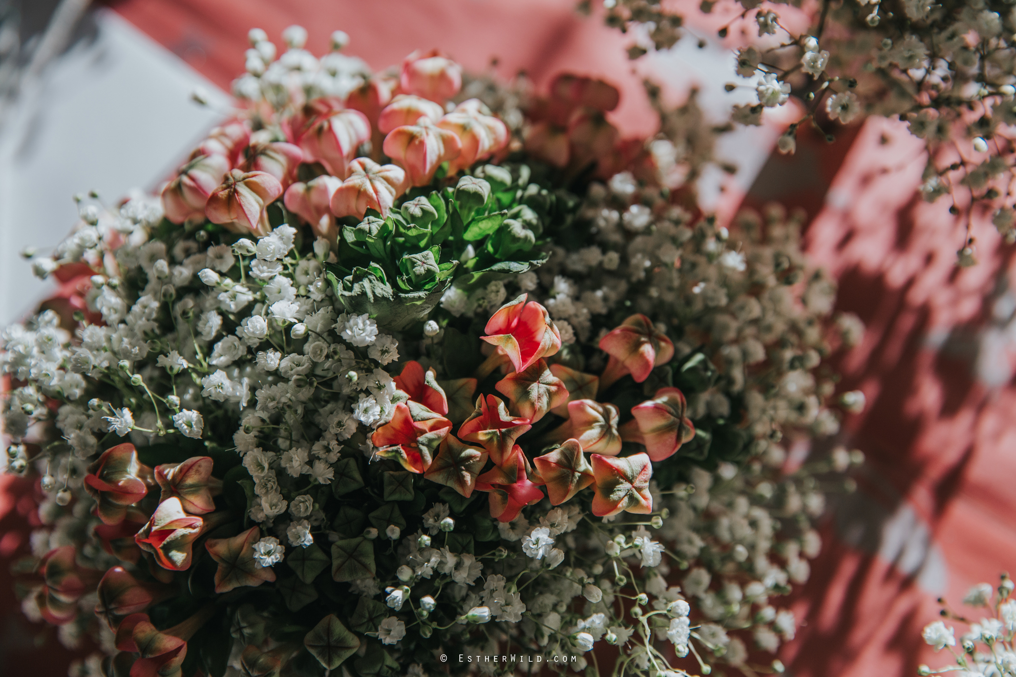 Wedding_Kings_Lynn_Town_Hall_Norfolk_Photographer_Esther_Wild_IMG_0057.jpg