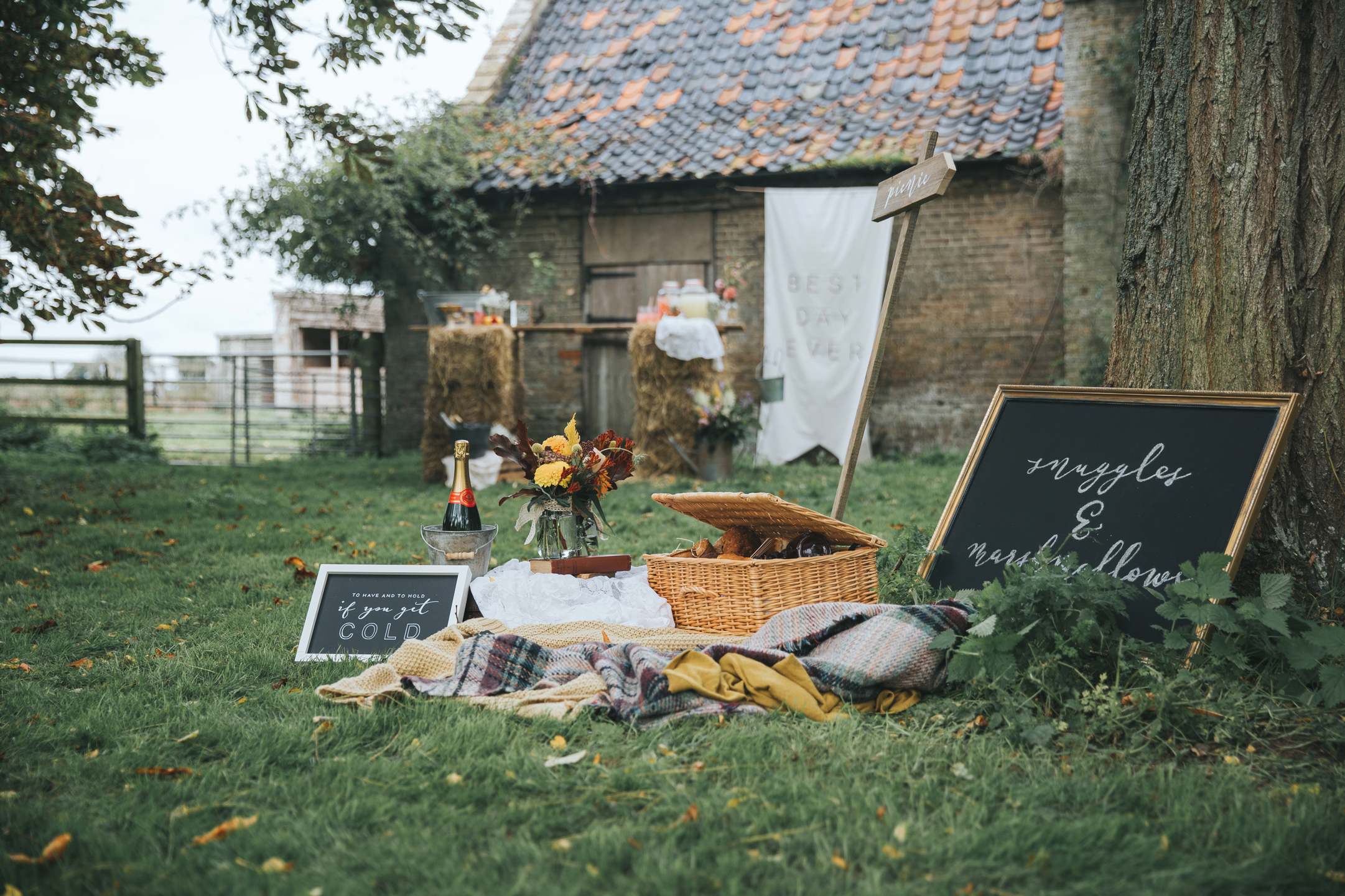 Esther_Wild_Little_Horse_Box_Norfolk_Wedding_IMG_2707.jpg