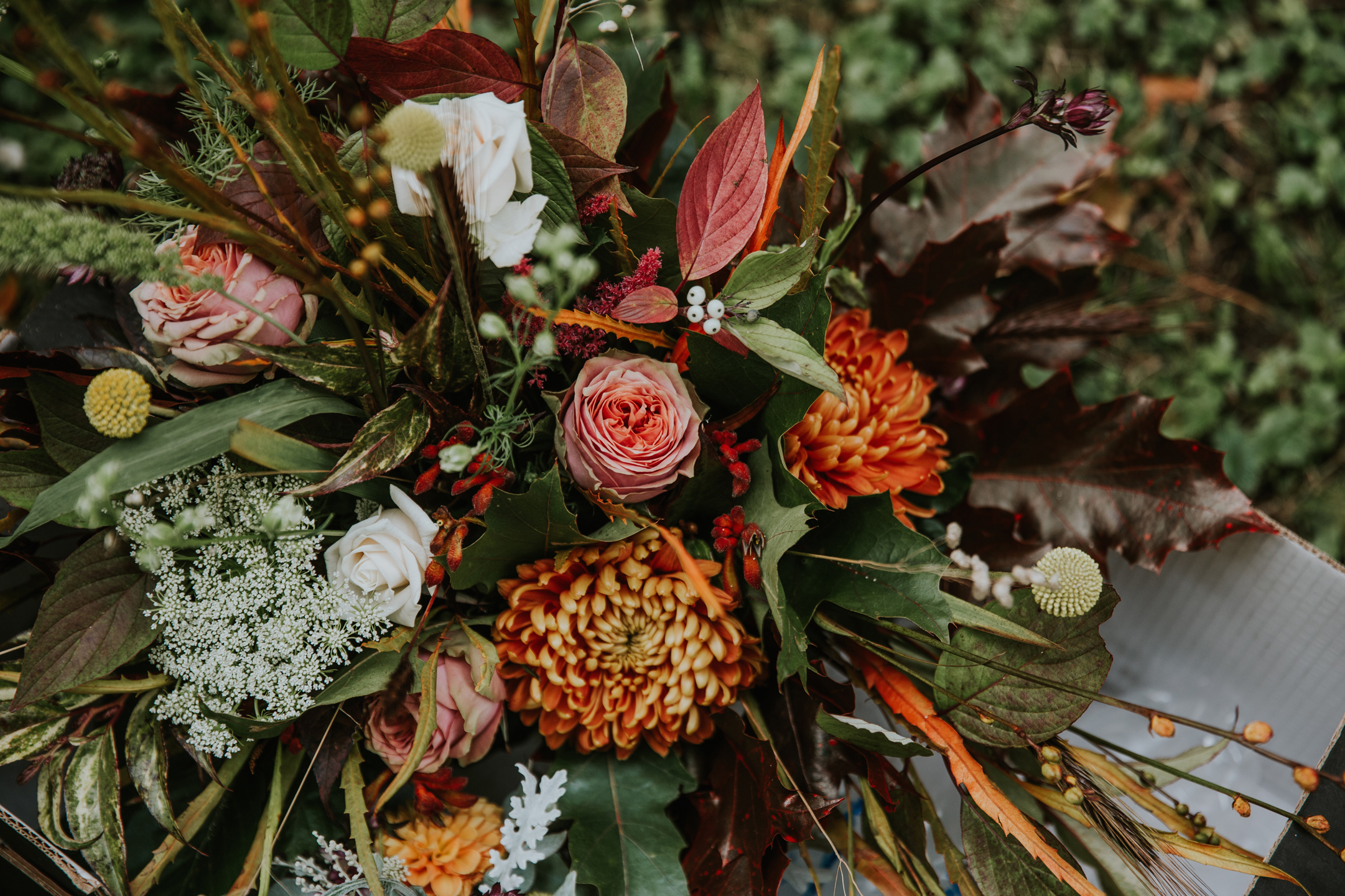 Norfolk_Wedding_Esther_Wild_Little_Horse_Box_IMG_1904.jpg