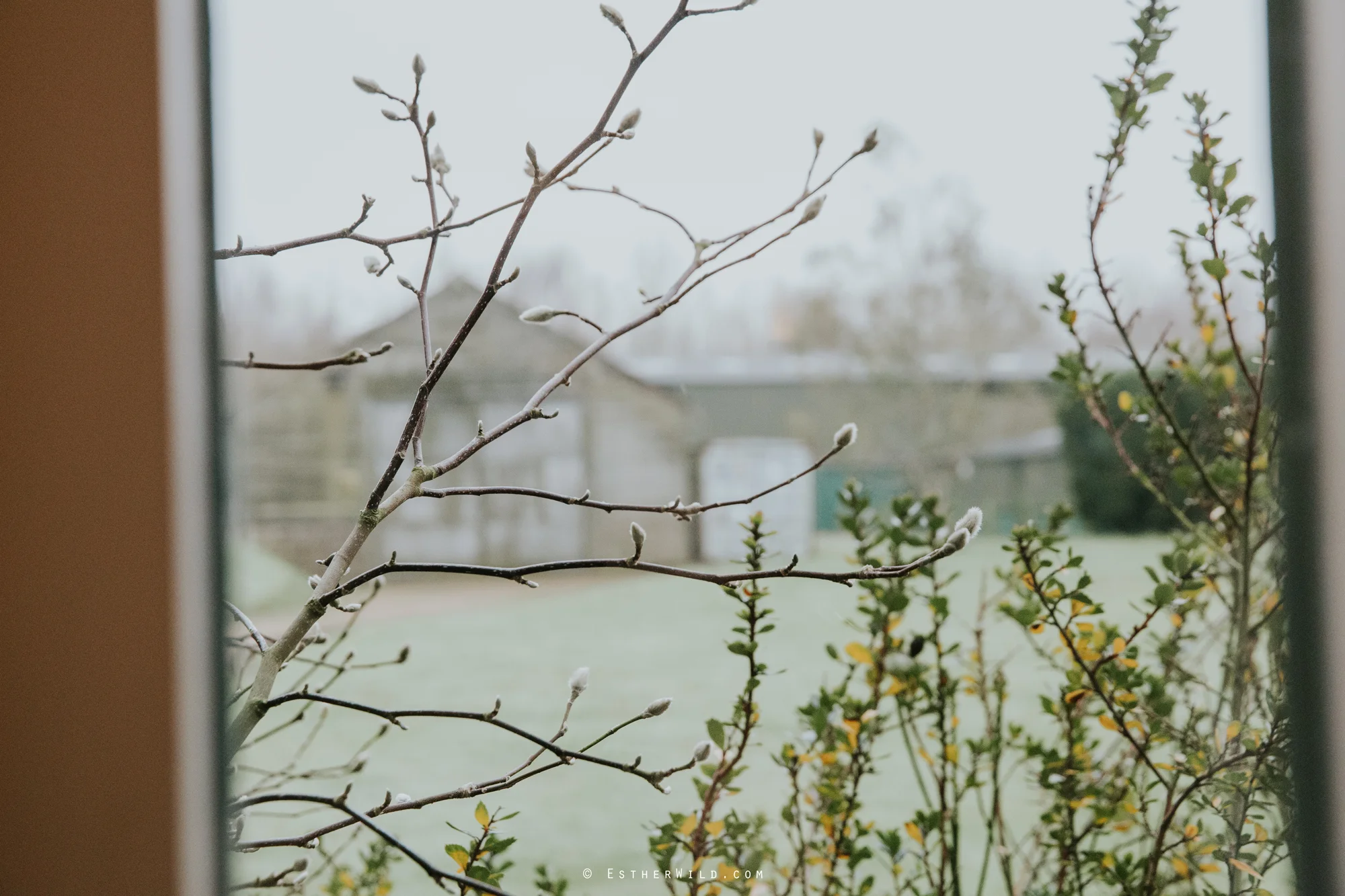 Elms_Barn_Weddings_Suffolk_Photographer_Copyright_Esther_Wild_IMG_0038.jpg