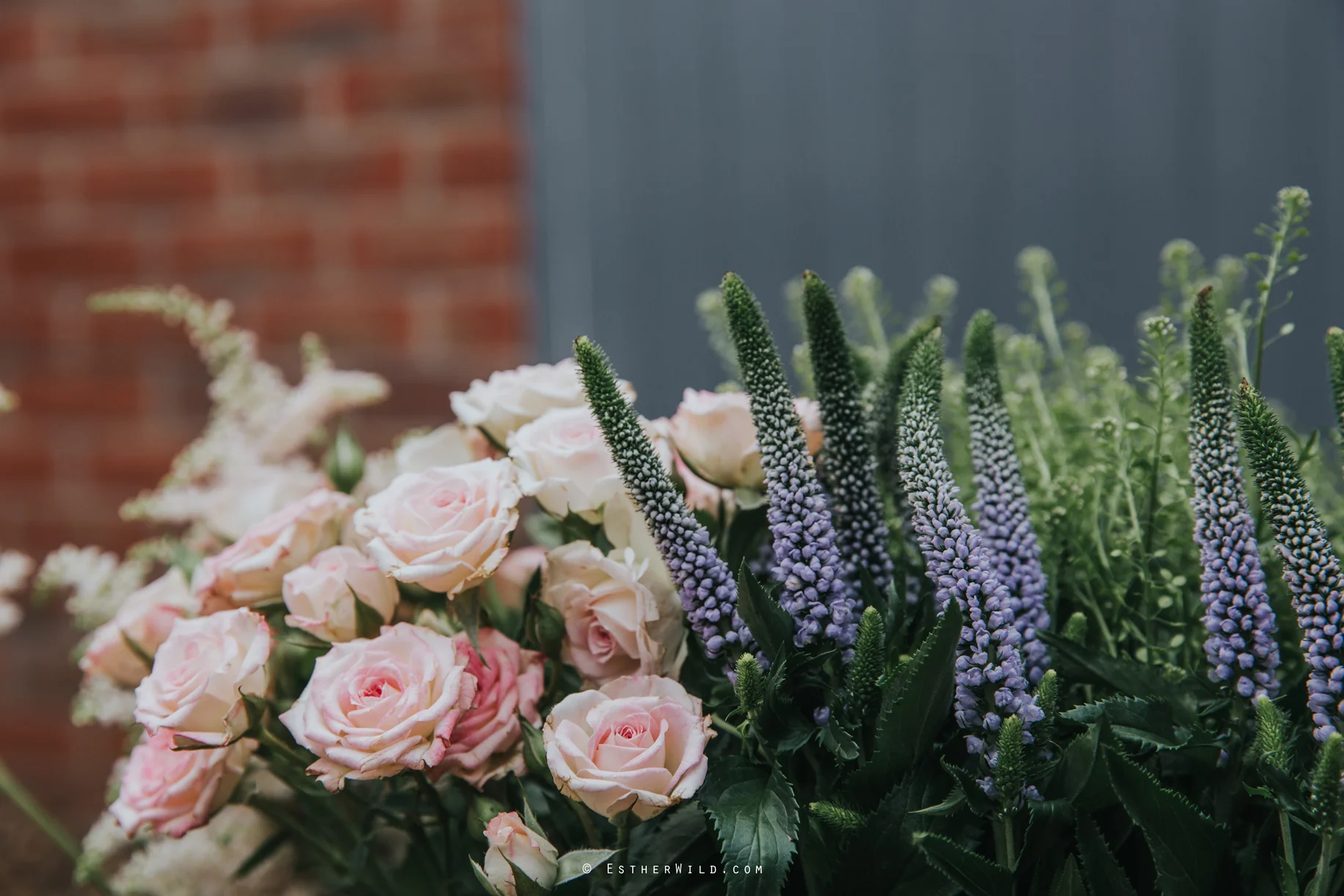 Norfolk_Mead_Hotel_Norwich_Wedding_Copyright_Esther_Wild_Photographer_IMG_0095.jpg