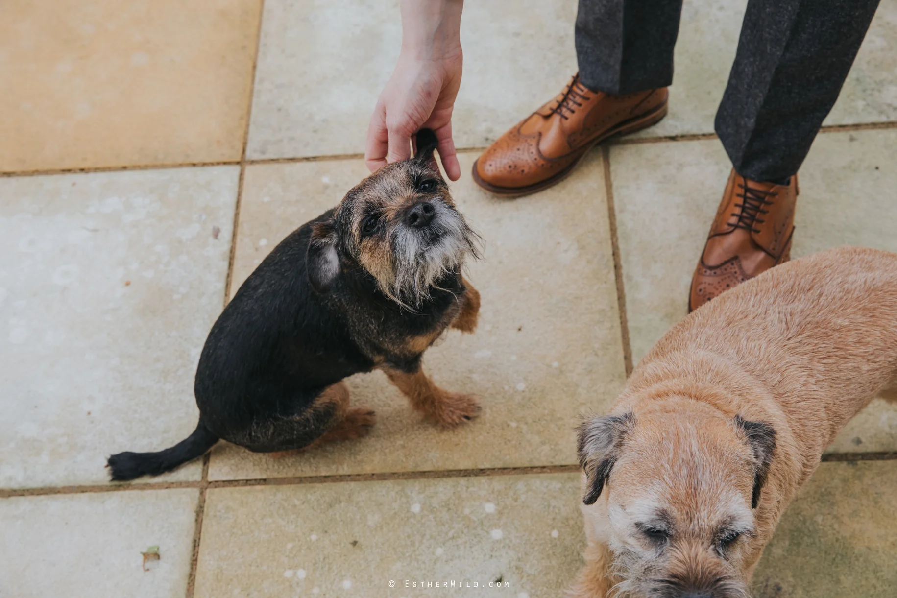 Norfolk_Mead_Hotel_Norwich_Wedding_Copyright_Esther_Wild_Photographer_IMG_0562.jpg