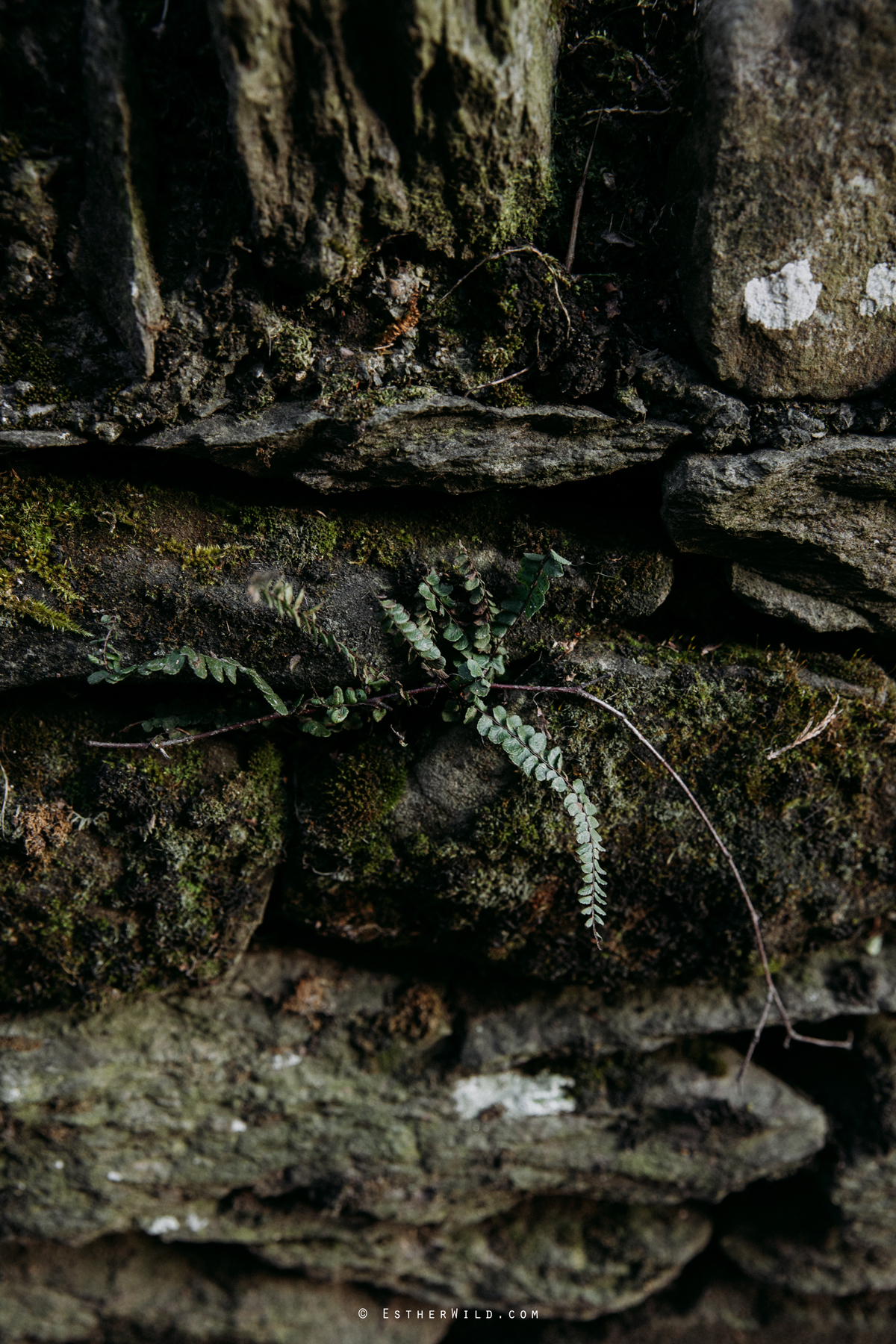 Lake_District_Wild_Mountain_Wedding_Elope_Photographer_Cumbria_Esther_Wild