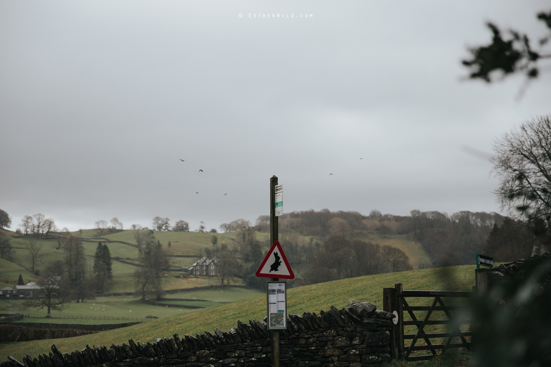 Lake_District_Wild_Mountain_Wedding_Elope_Photographer_Cumbria_Esther_Wild