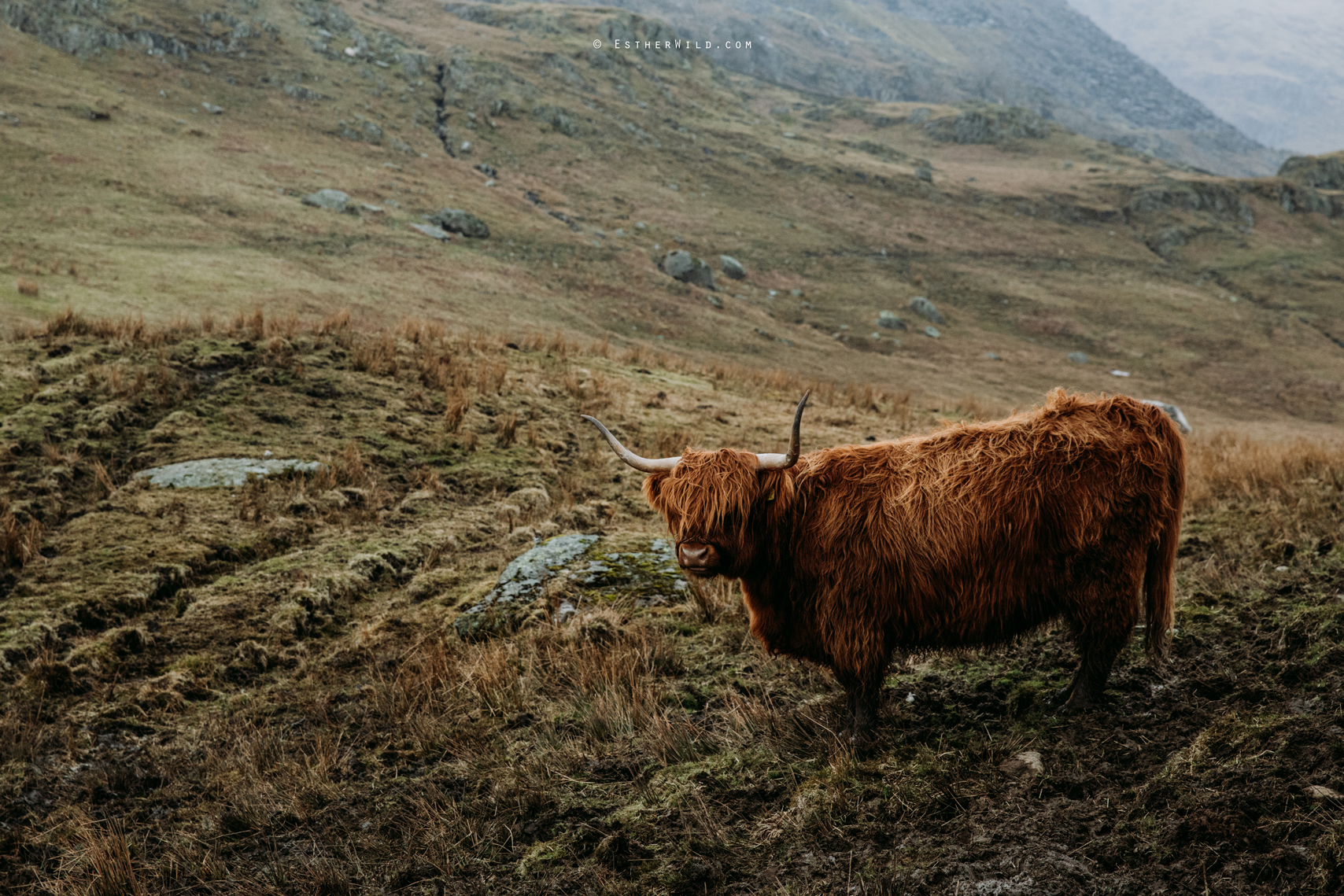 Lake_District_Wild_Mountain_Wedding_Elope_Photographer_Cumbria_Esther_Wild