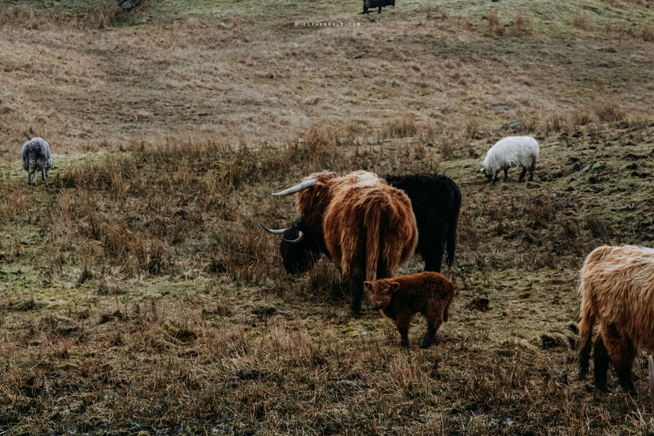 Lake_District_Wild_Mountain_Wedding_Elope_Photographer_Cumbria_Esther_Wild