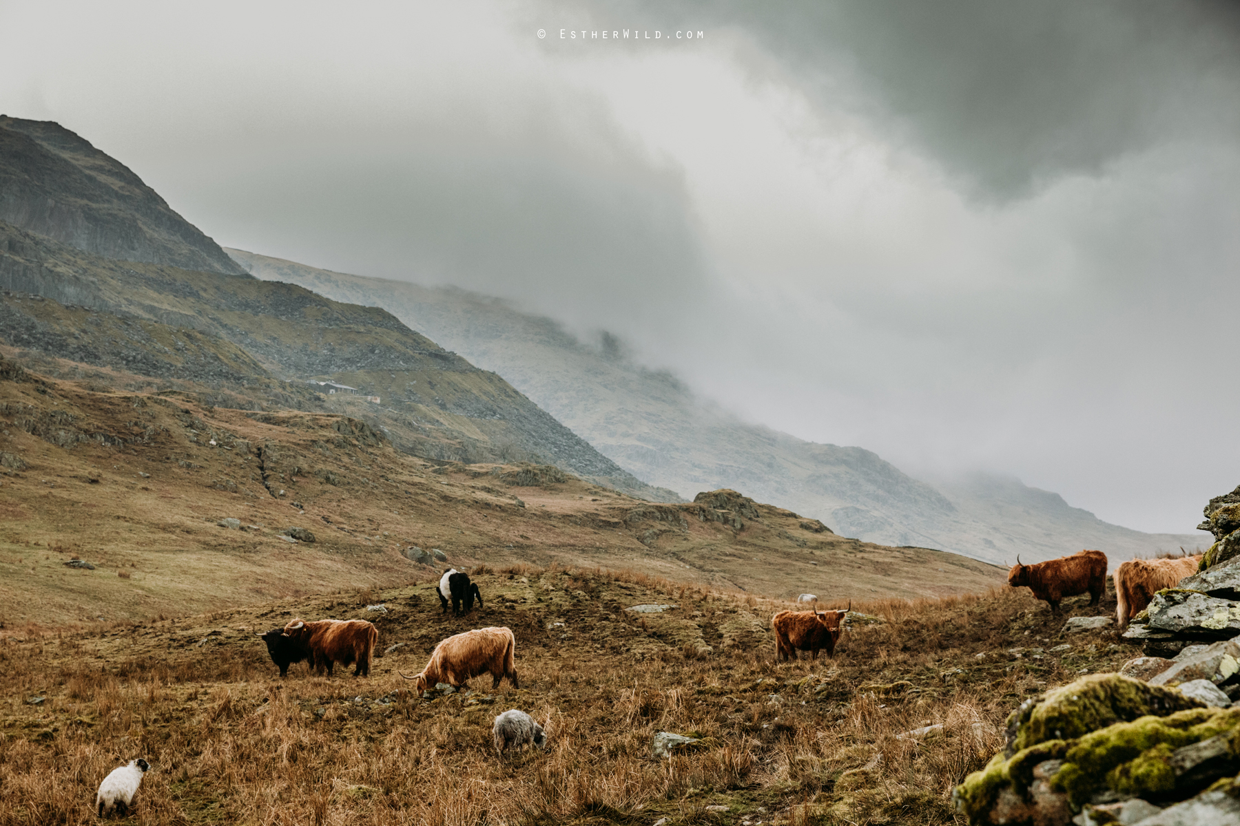 Lake_District_Wild_Mountain_Wedding_Elope_Photographer_Cumbria_Esther_Wild