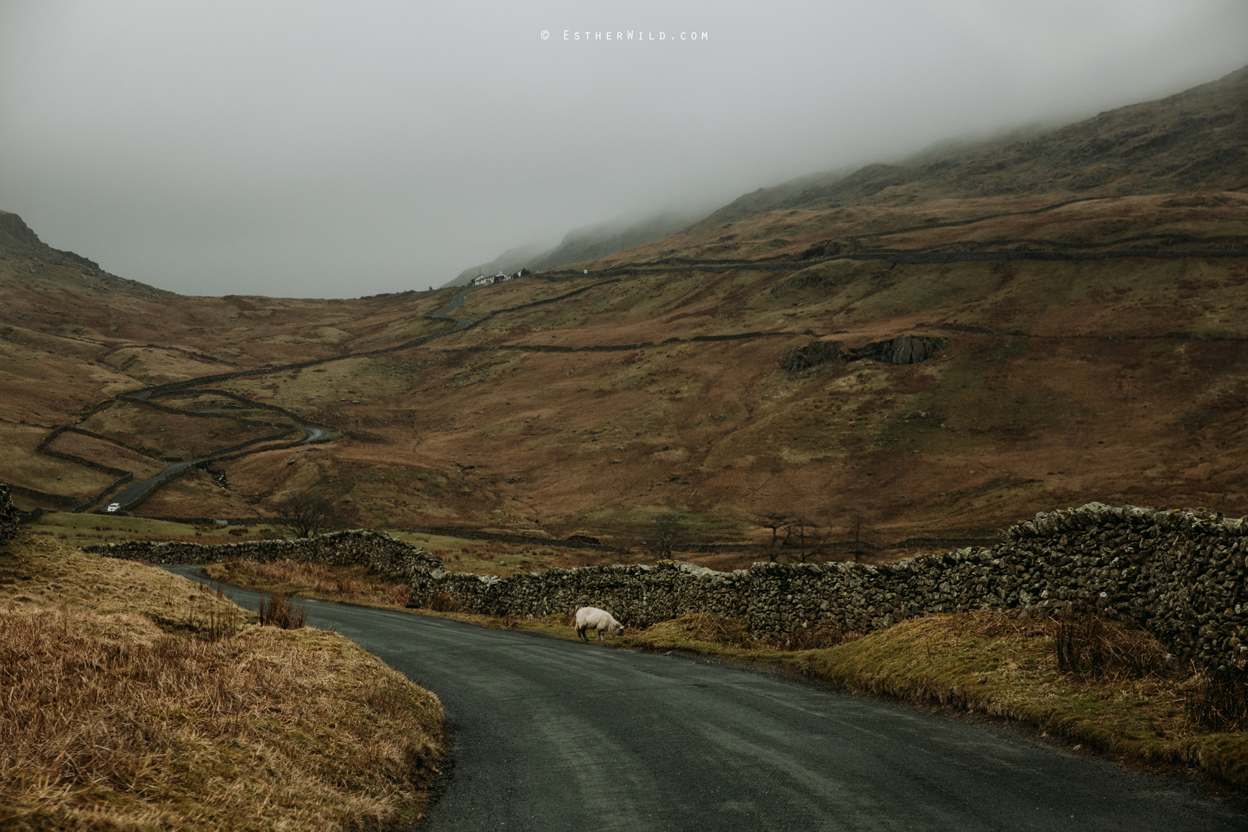Lake_District_Wild_Mountain_Wedding_Elope_Photographer_Cumbria_Esther_Wild