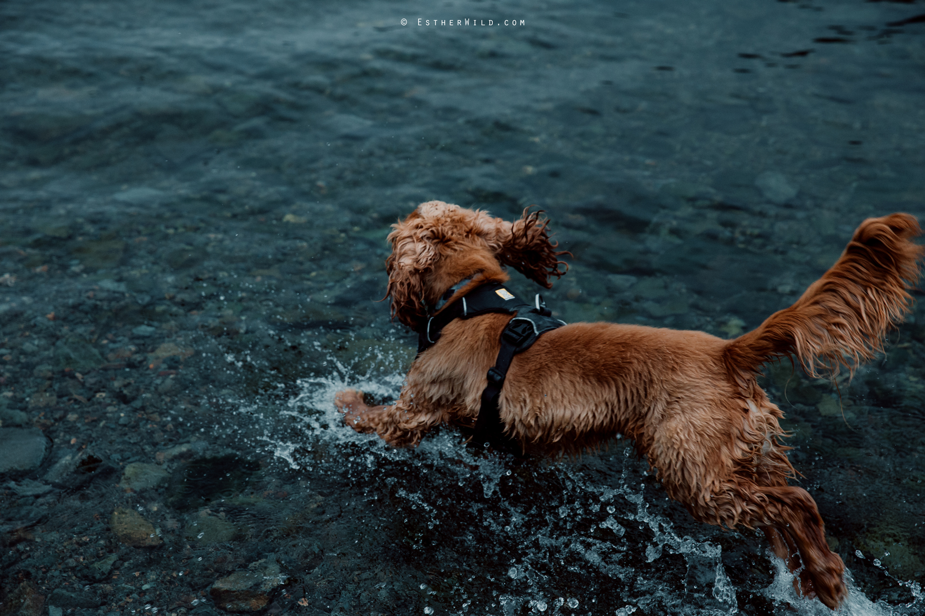 Lake_District_Wild_Mountain_Wedding_Elope_Photographer_Cumbria_Esther_Wild