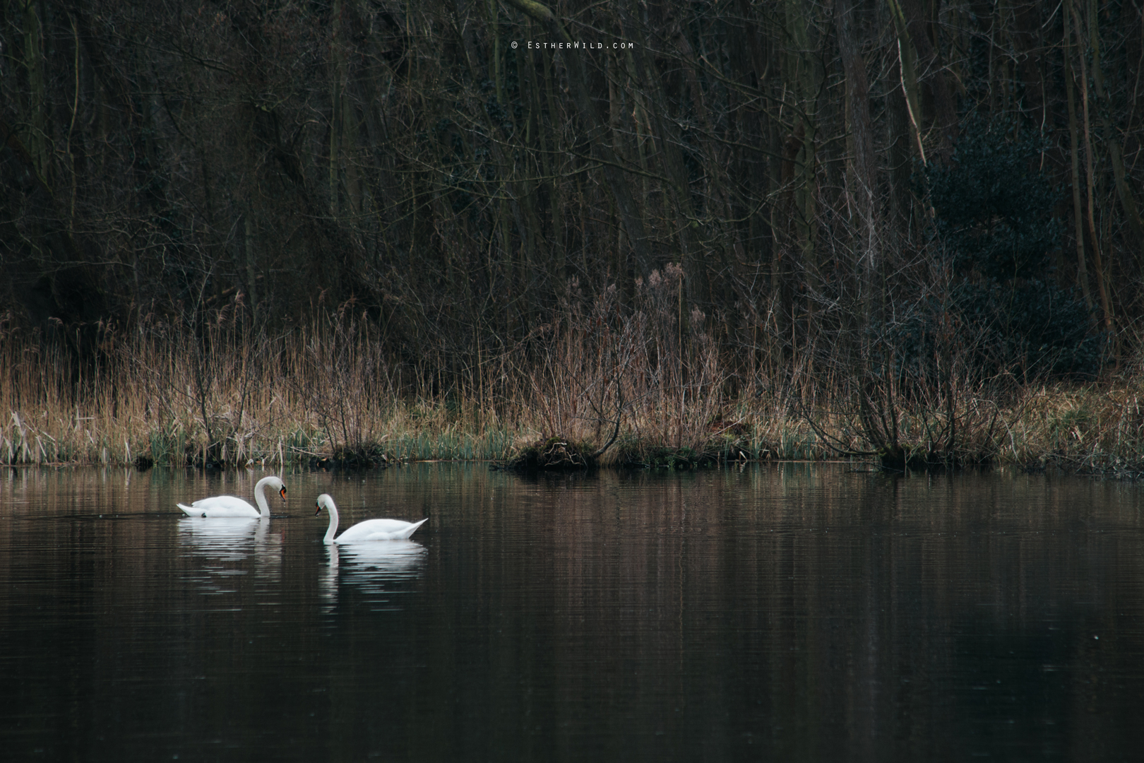 The_BoatHouse_Wedding_Venue_Ormesby_Norfolk_Broads_Boat_Wedding_Photography_Esther_Wild_Photographer_IMG_0184.jpg