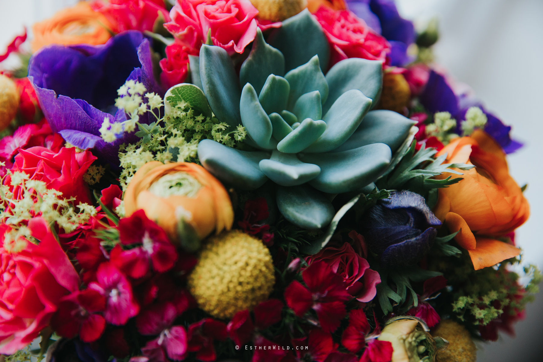 The_BoatHouse_Wedding_Venue_Ormesby_Norfolk_Broads_Boat_Wedding_Photography_Esther_Wild_Photographer_IMG_0327.jpg