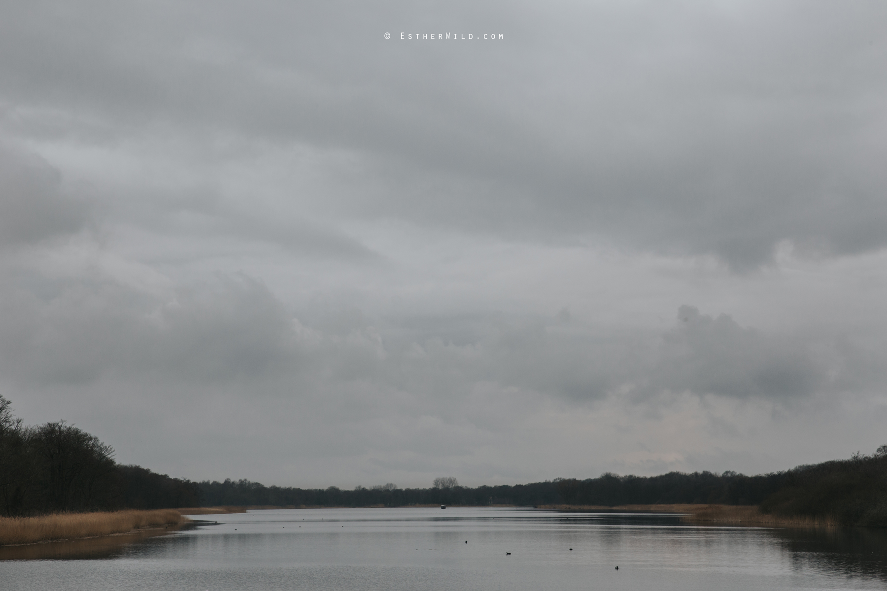 The_BoatHouse_Wedding_Venue_Ormesby_Norfolk_Broads_Boat_Wedding_Photography_Esther_Wild_Photographer_IMG_0861.jpg