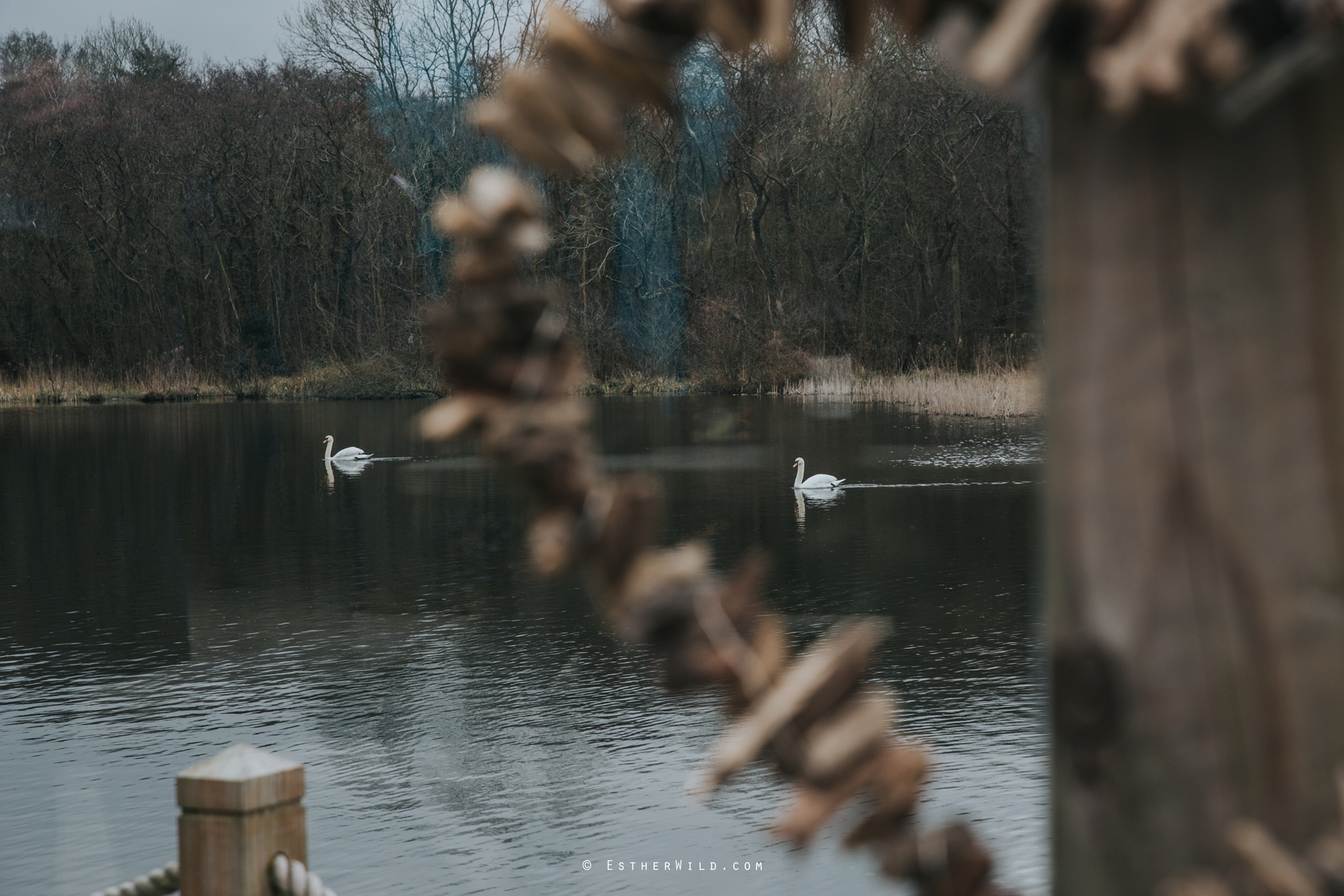 The_BoatHouse_Wedding_Venue_Ormesby_Norfolk_Broads_Boat_Wedding_Photography_Esther_Wild_Photographer_IMG_0891.jpg