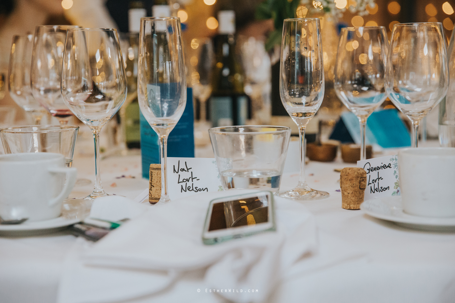 Norfolk_Mead_Hotel_Norwich_Wedding_Esther_Wild_Photographer_Copyright_IMG_2775.jpg